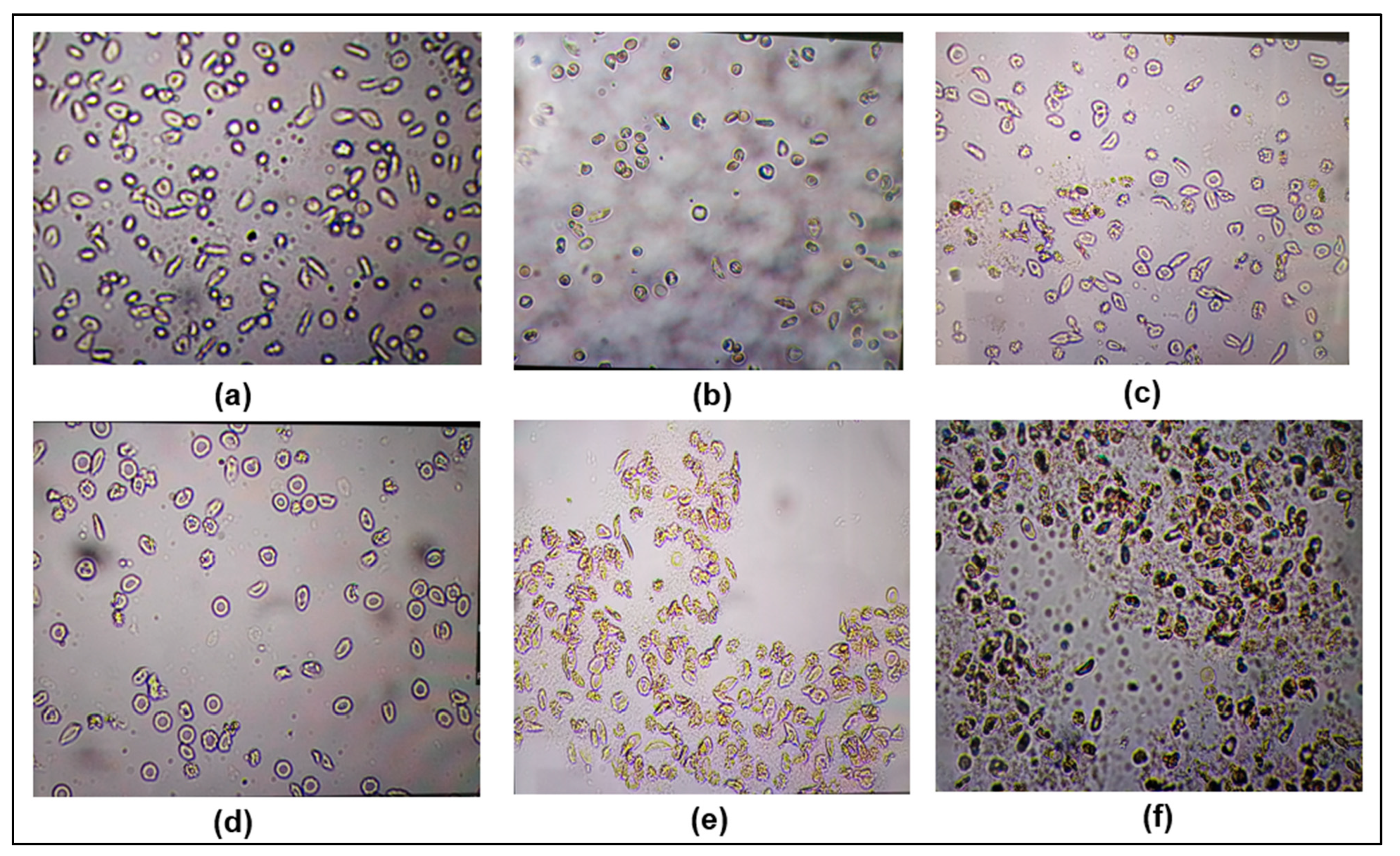 Molecules 30 01765 g009