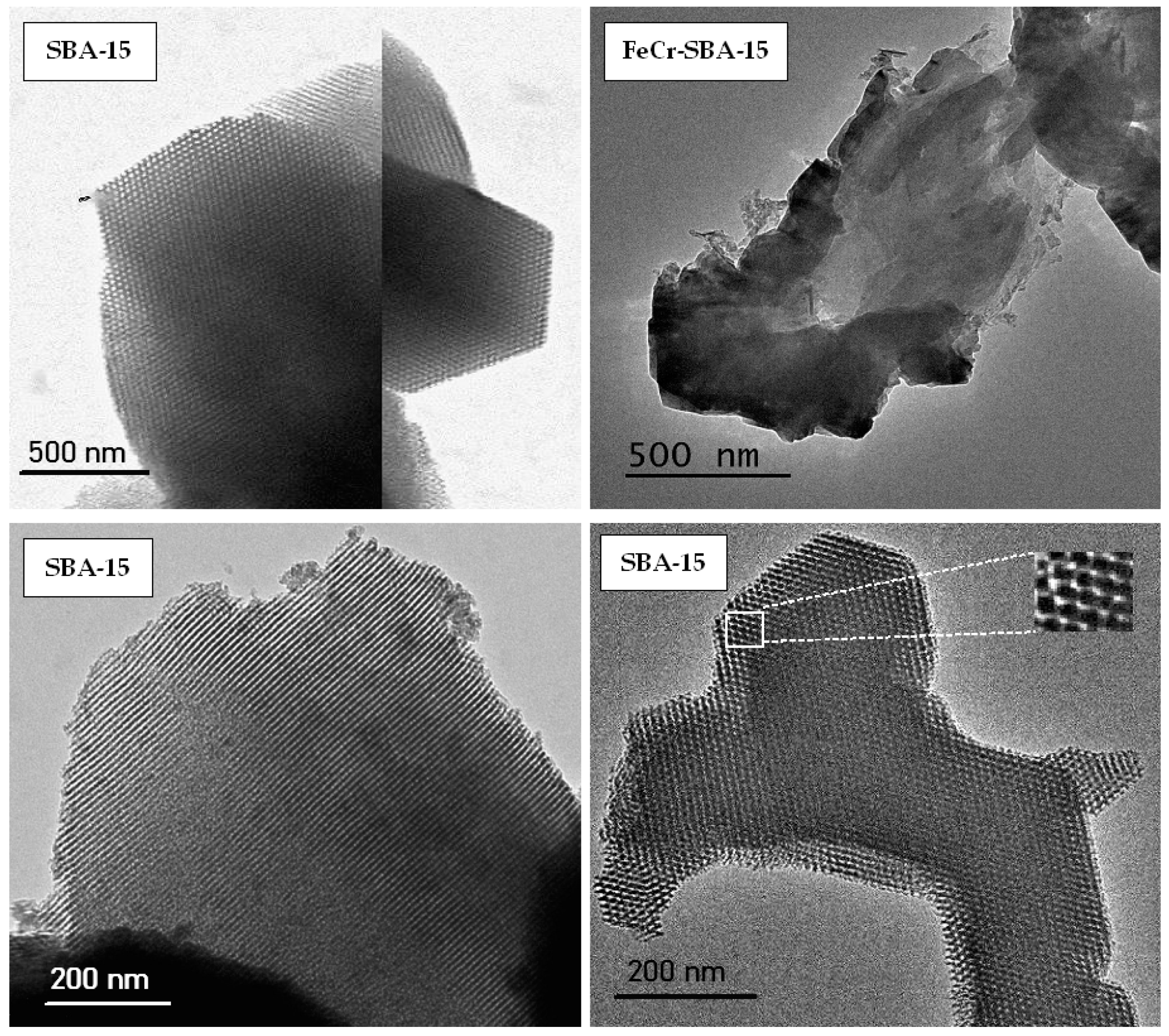 Molecules 30 01770 g005