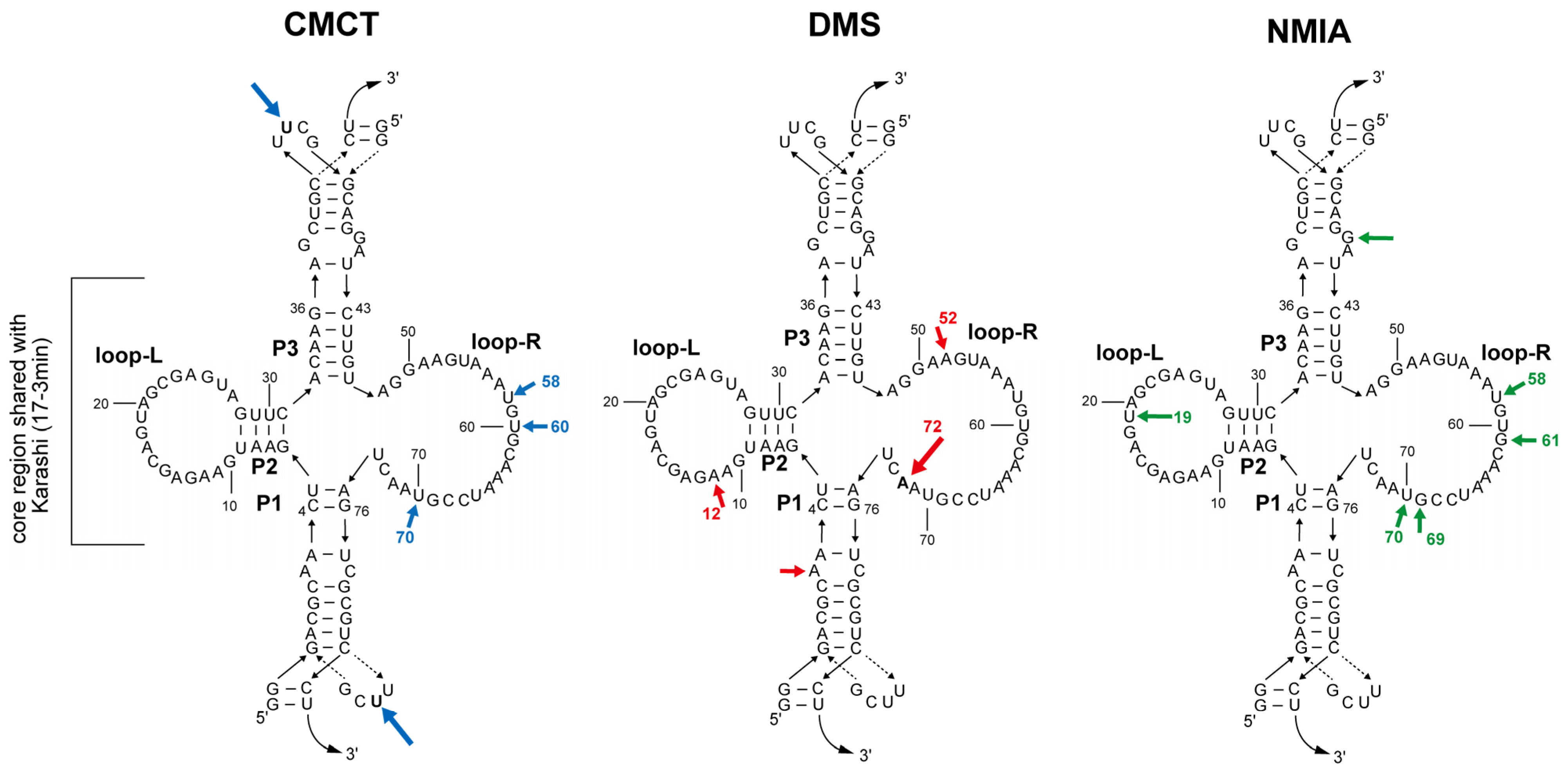 Molecules 30 01777 g007