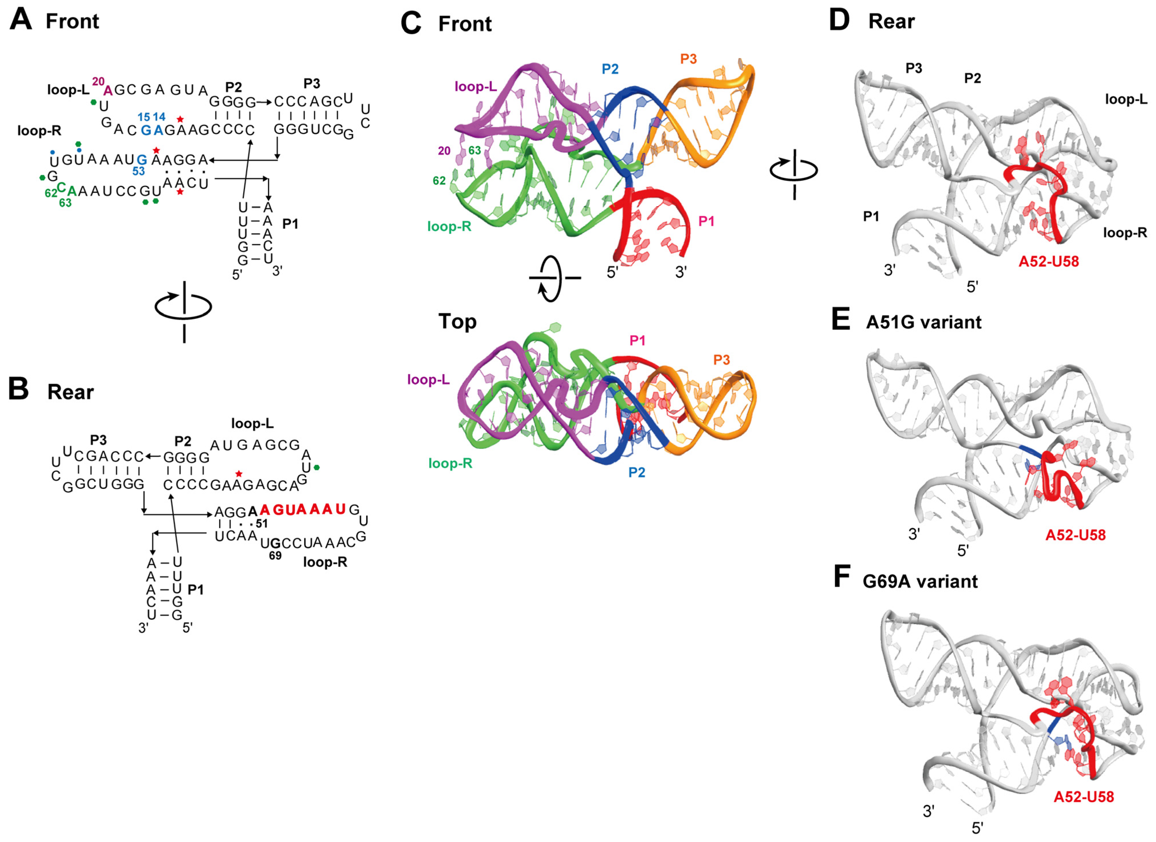 Molecules 30 01777 g008