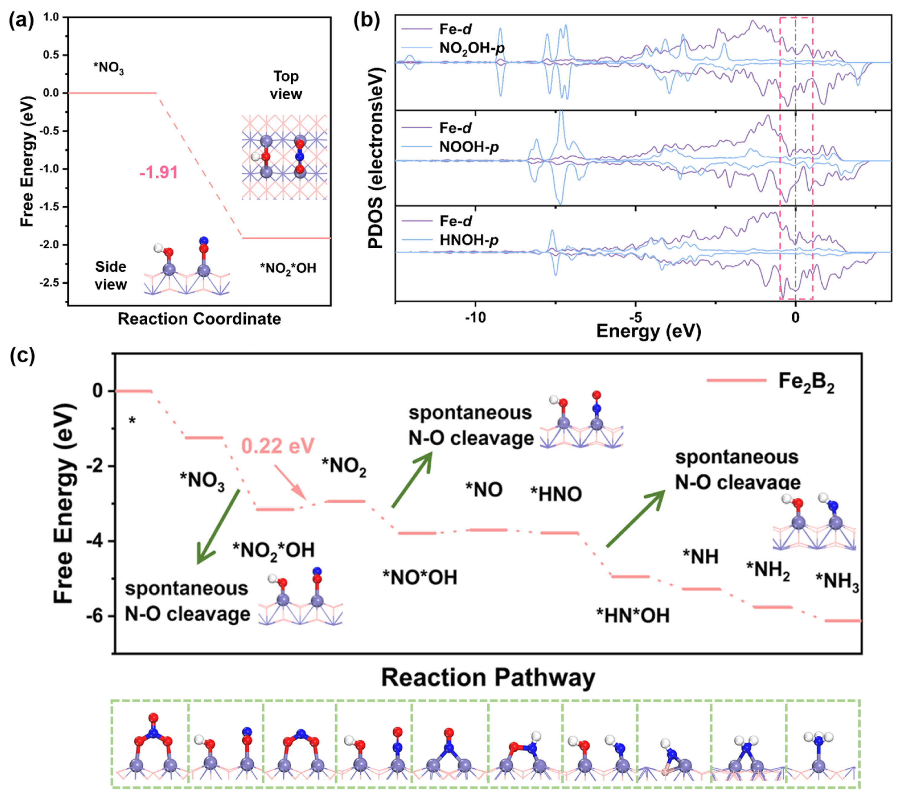 Molecules 30 01778 g004