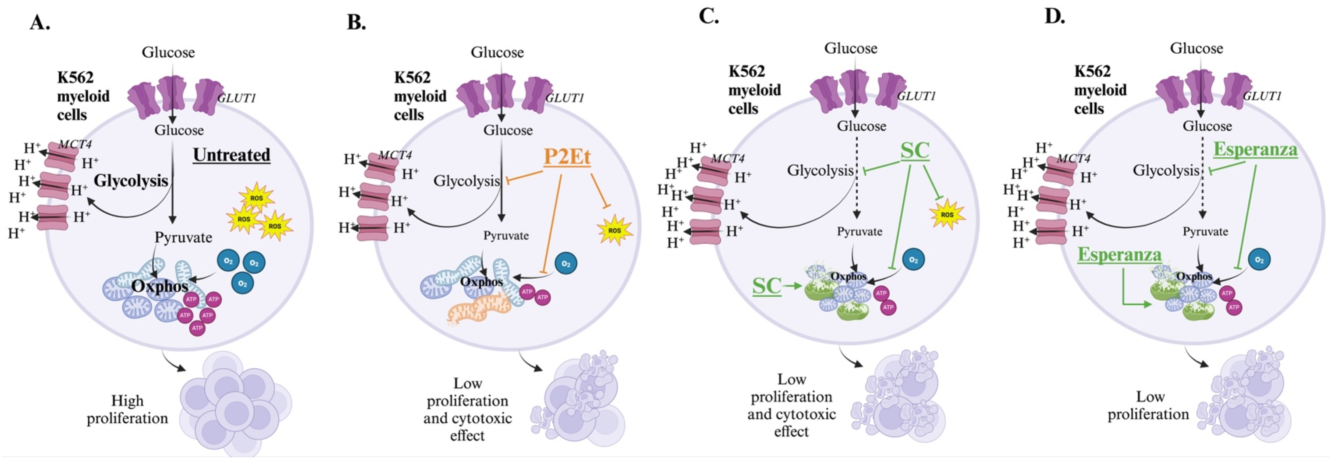 Molecules 30 01783 g008