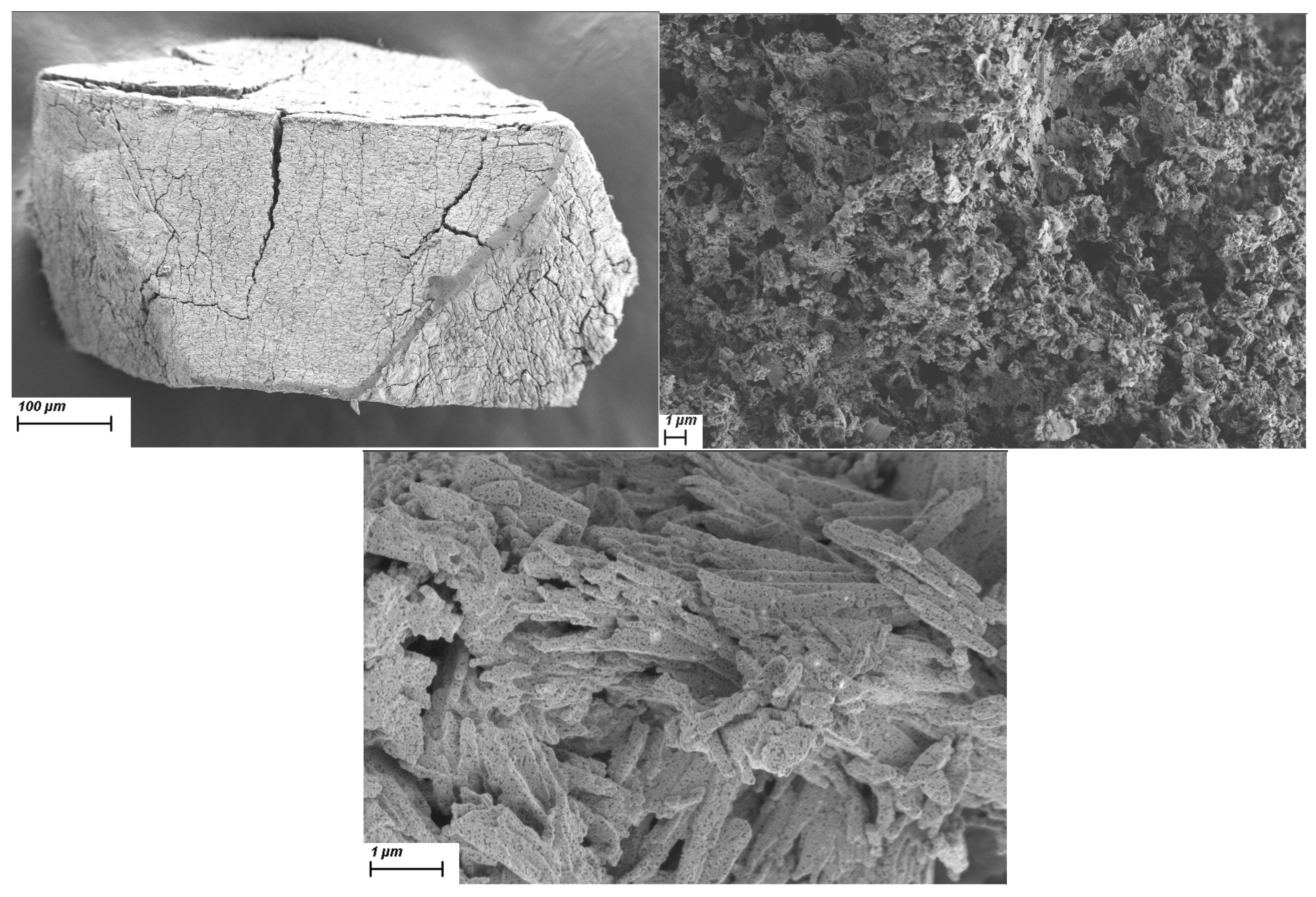 Molecules 30 01794 g011