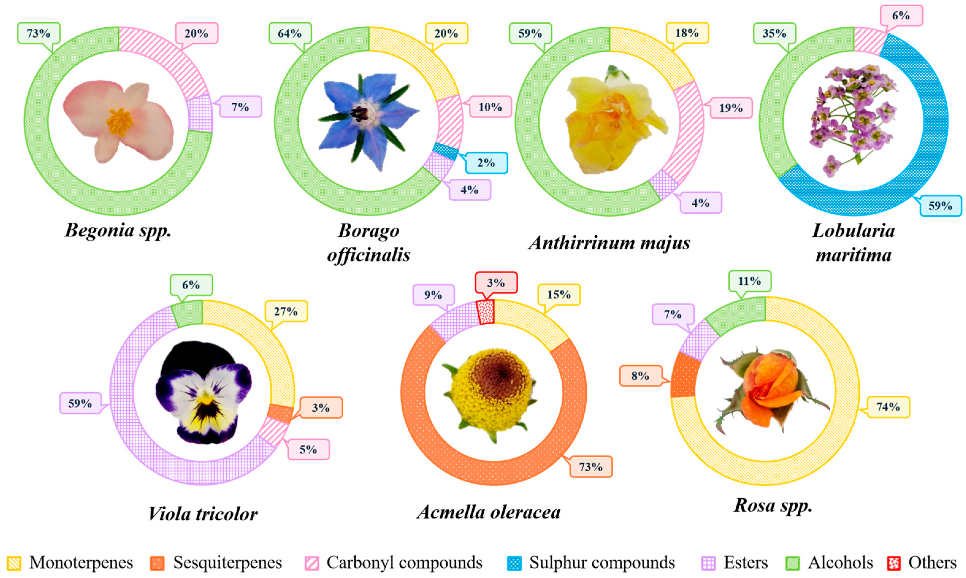 Molecules 30 01799 g001