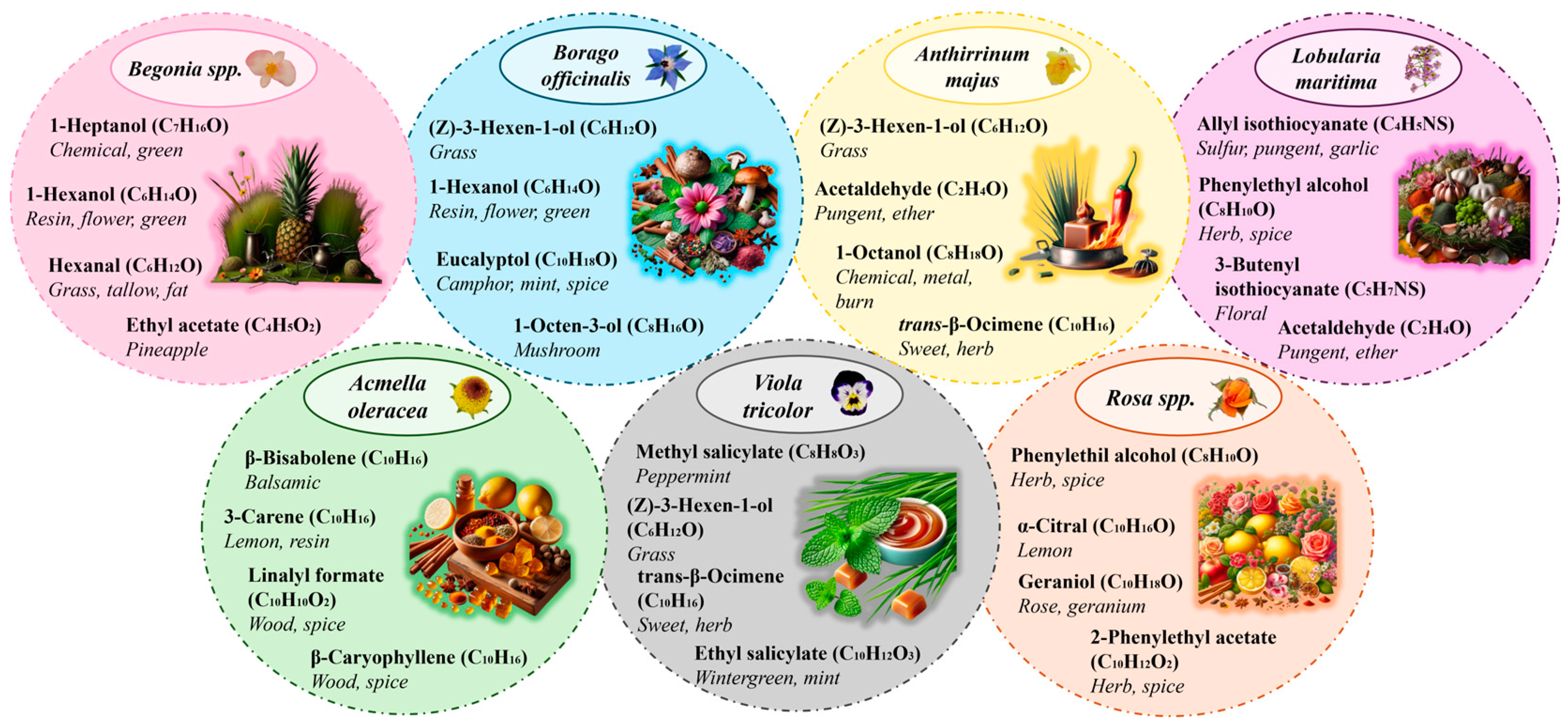 Molecules 30 01799 g002