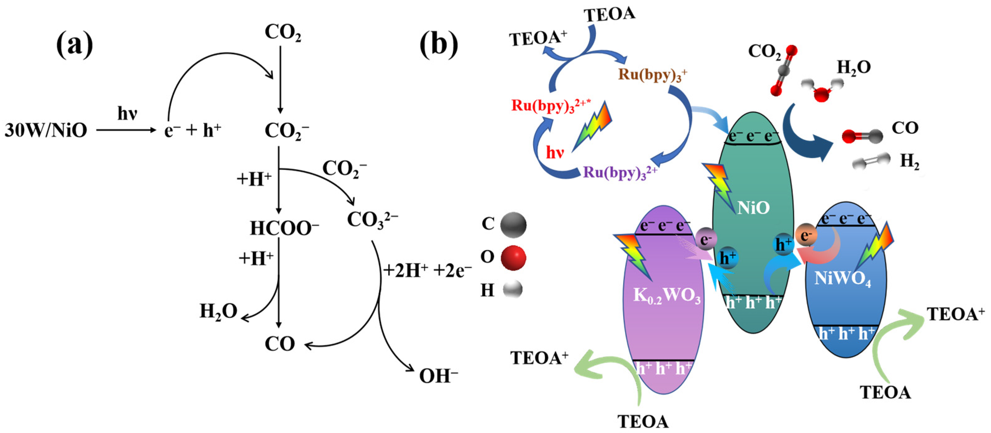 Molecules 30 01804 g011