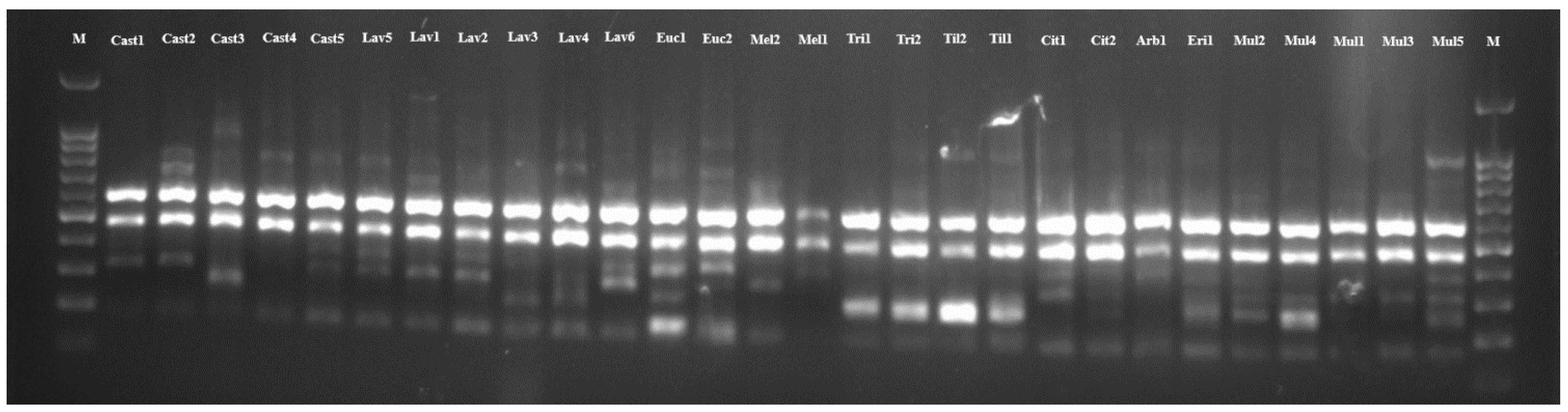 Molecules 30 01808 g001