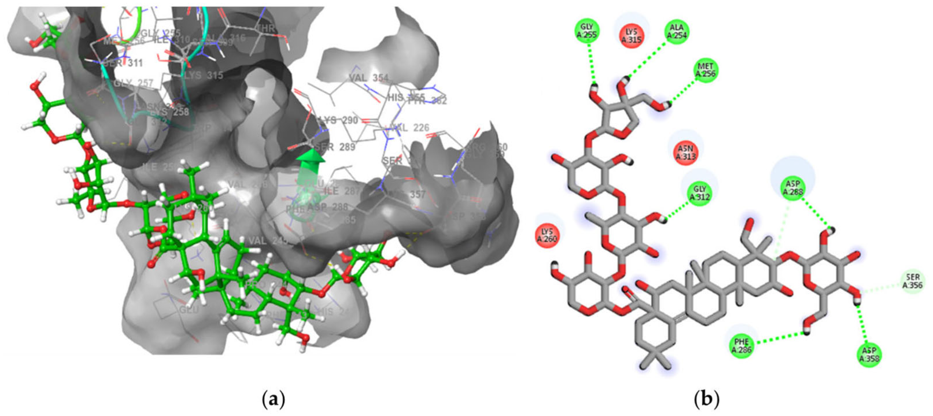 Molecules 30 01812 g008