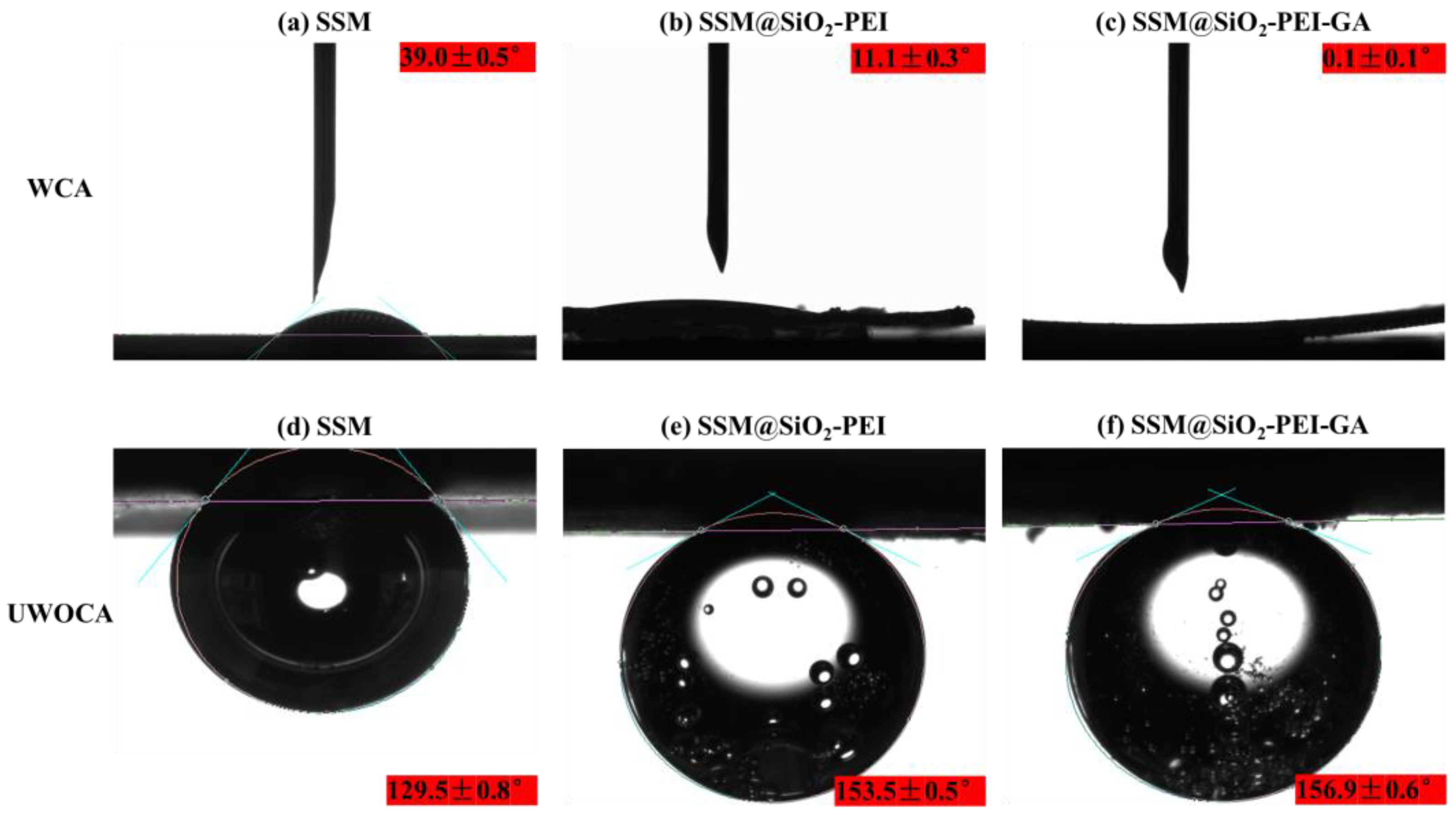 Molecules 30 01840 g006
