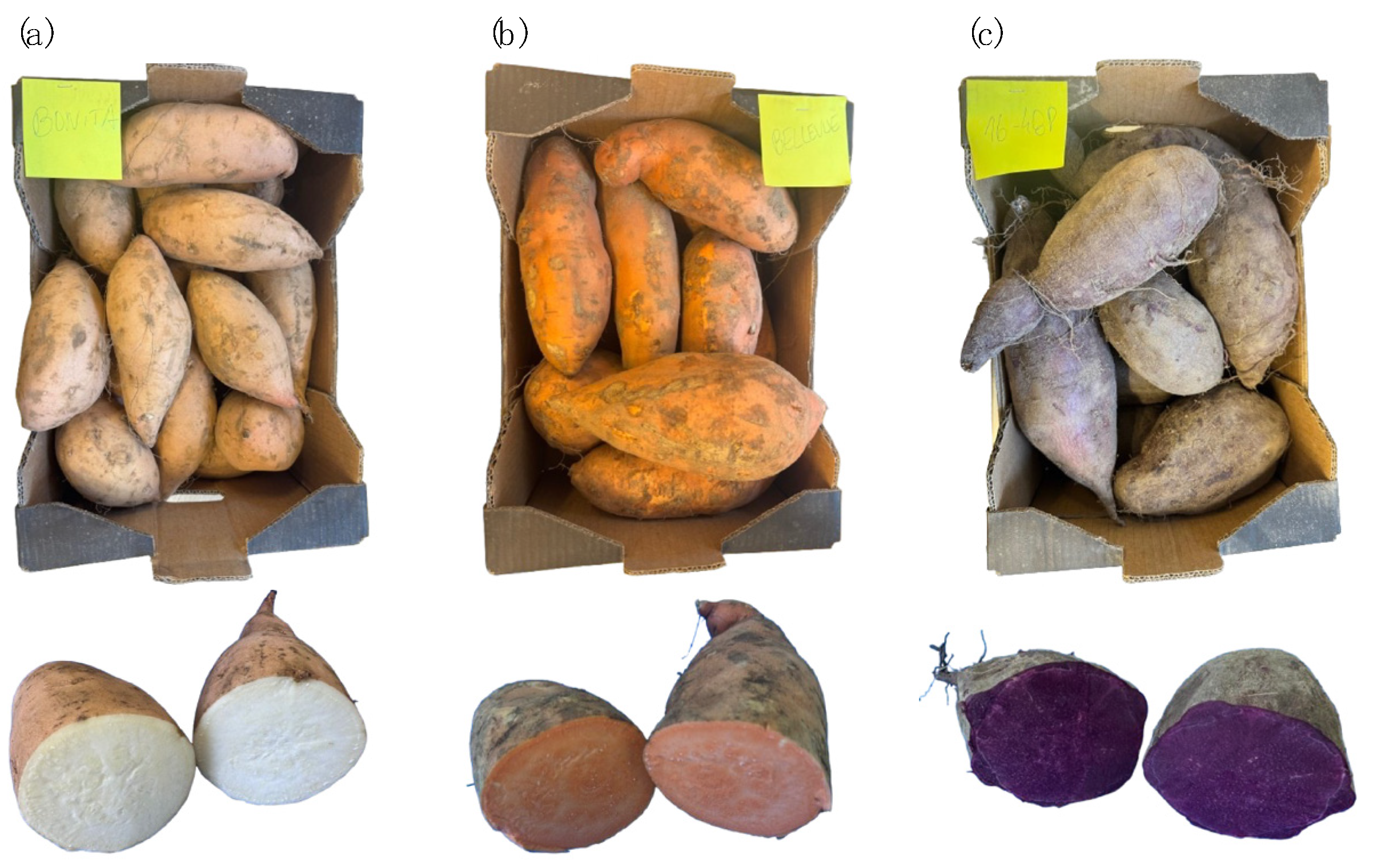 Molecules 30 01846 g005