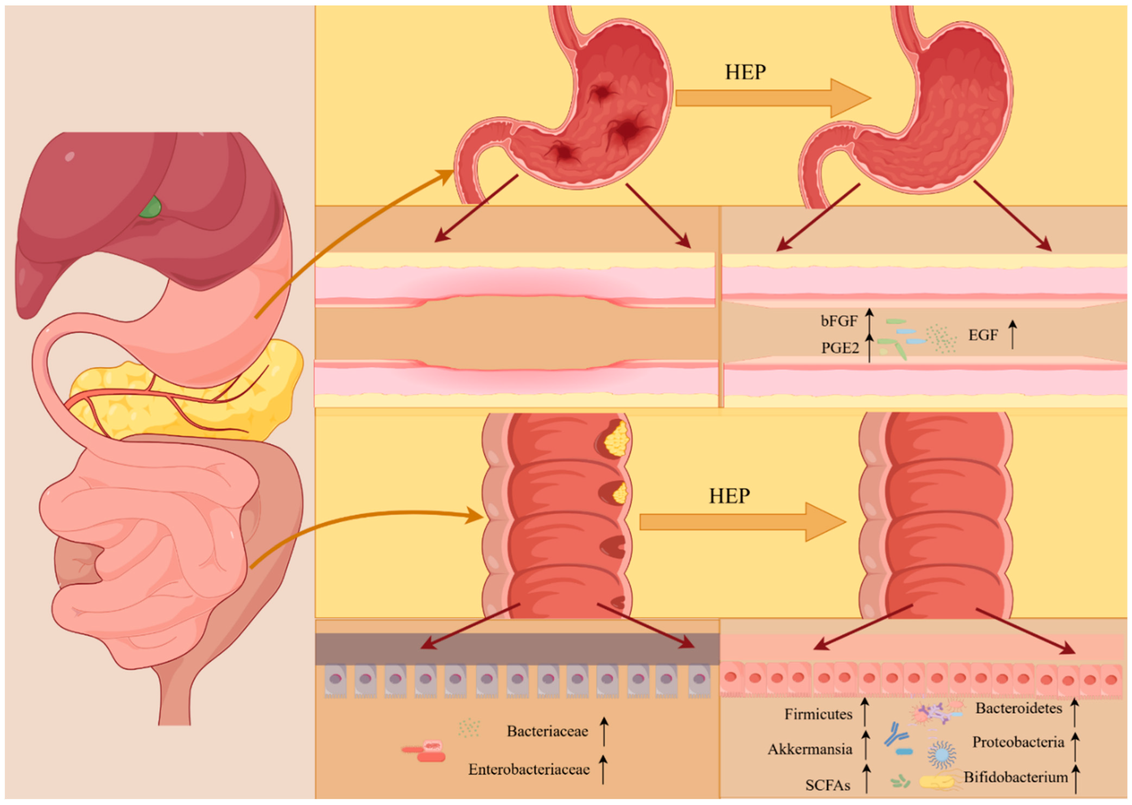 Molecules 30 01850 g005
