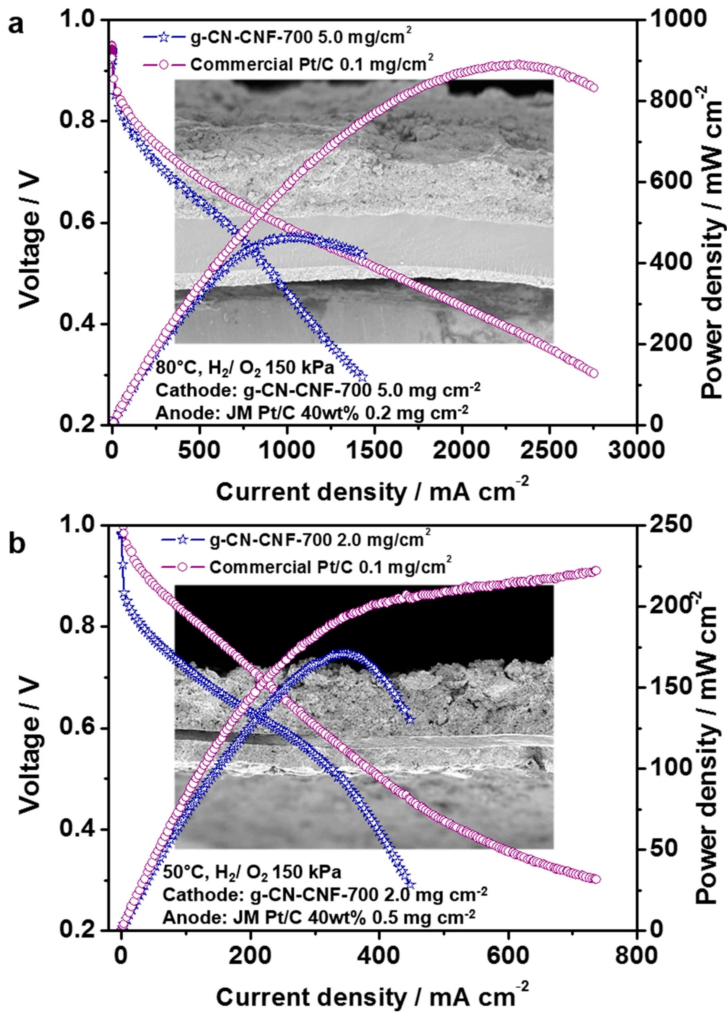 Molecules 30 01852 g006