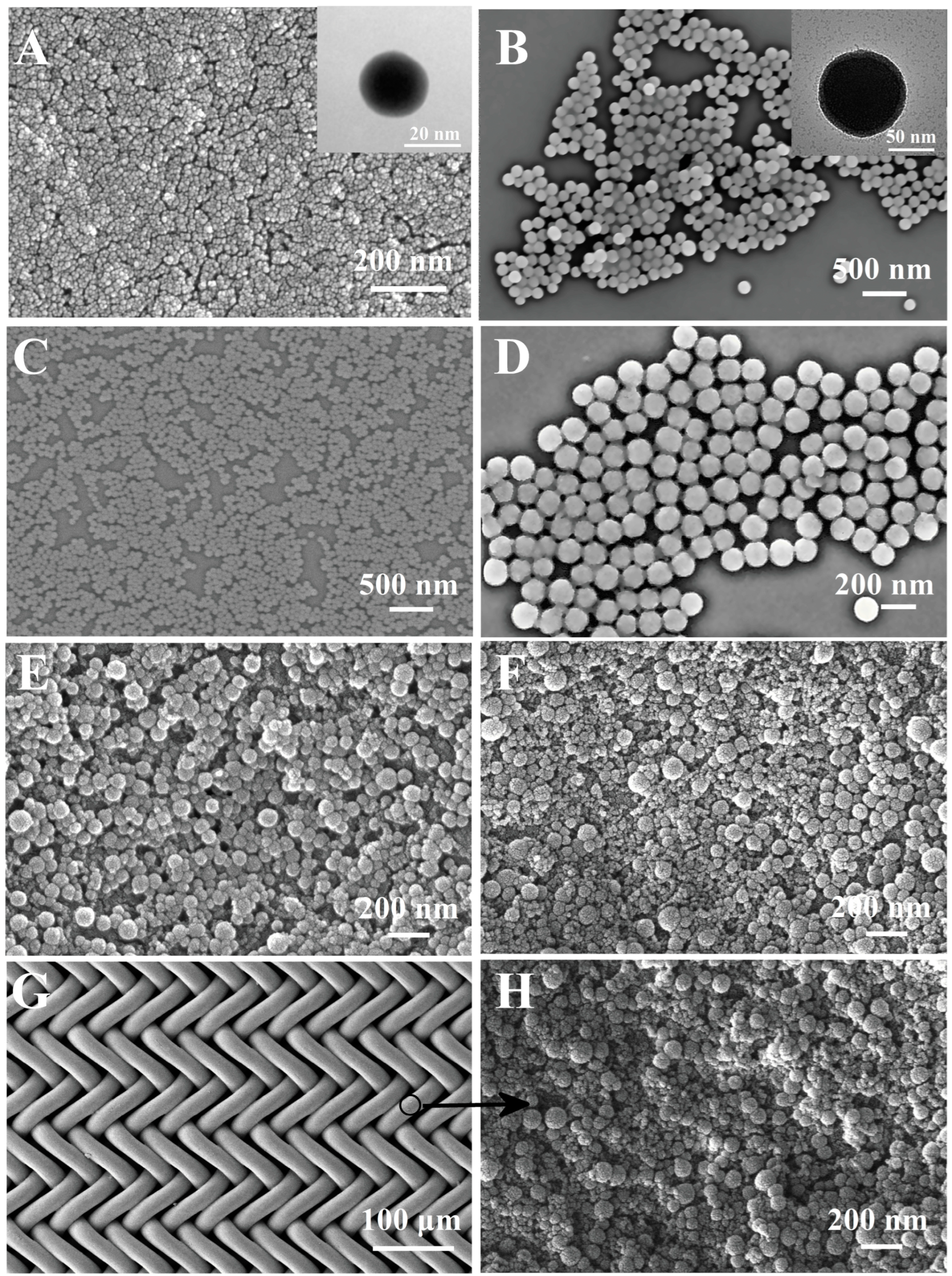 Molecules 30 01857 g003
