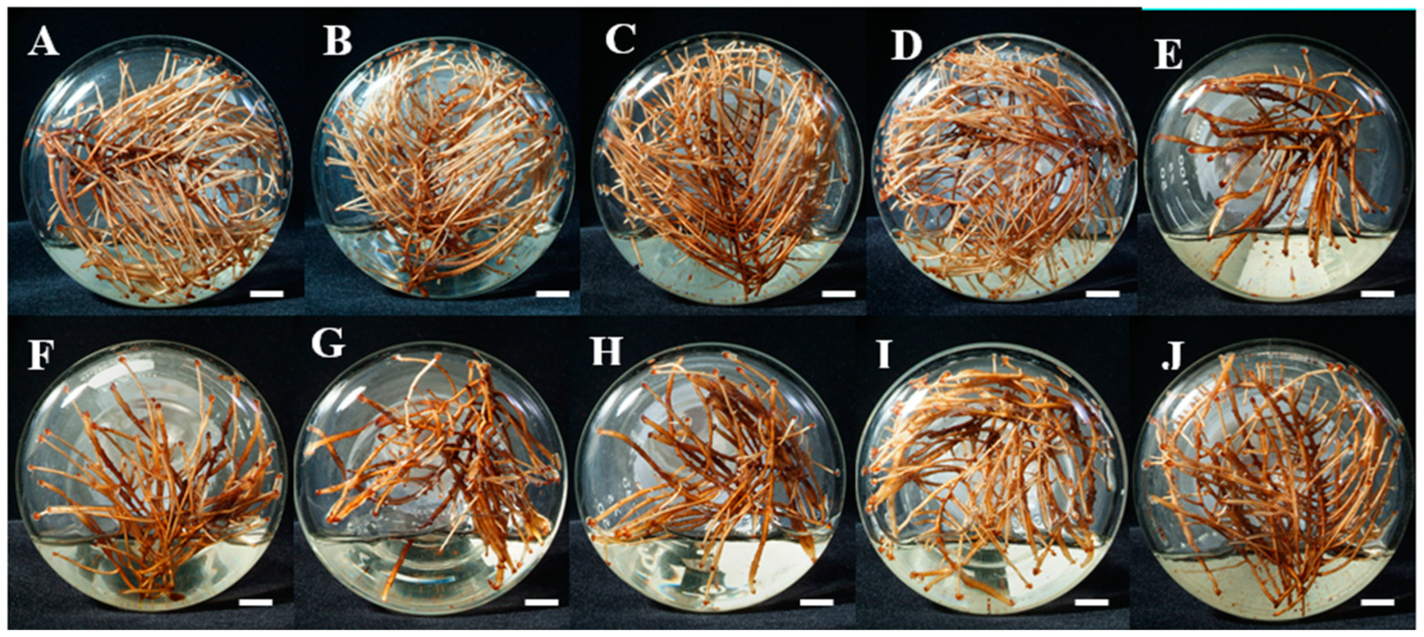 Molecules 30 01859 g001