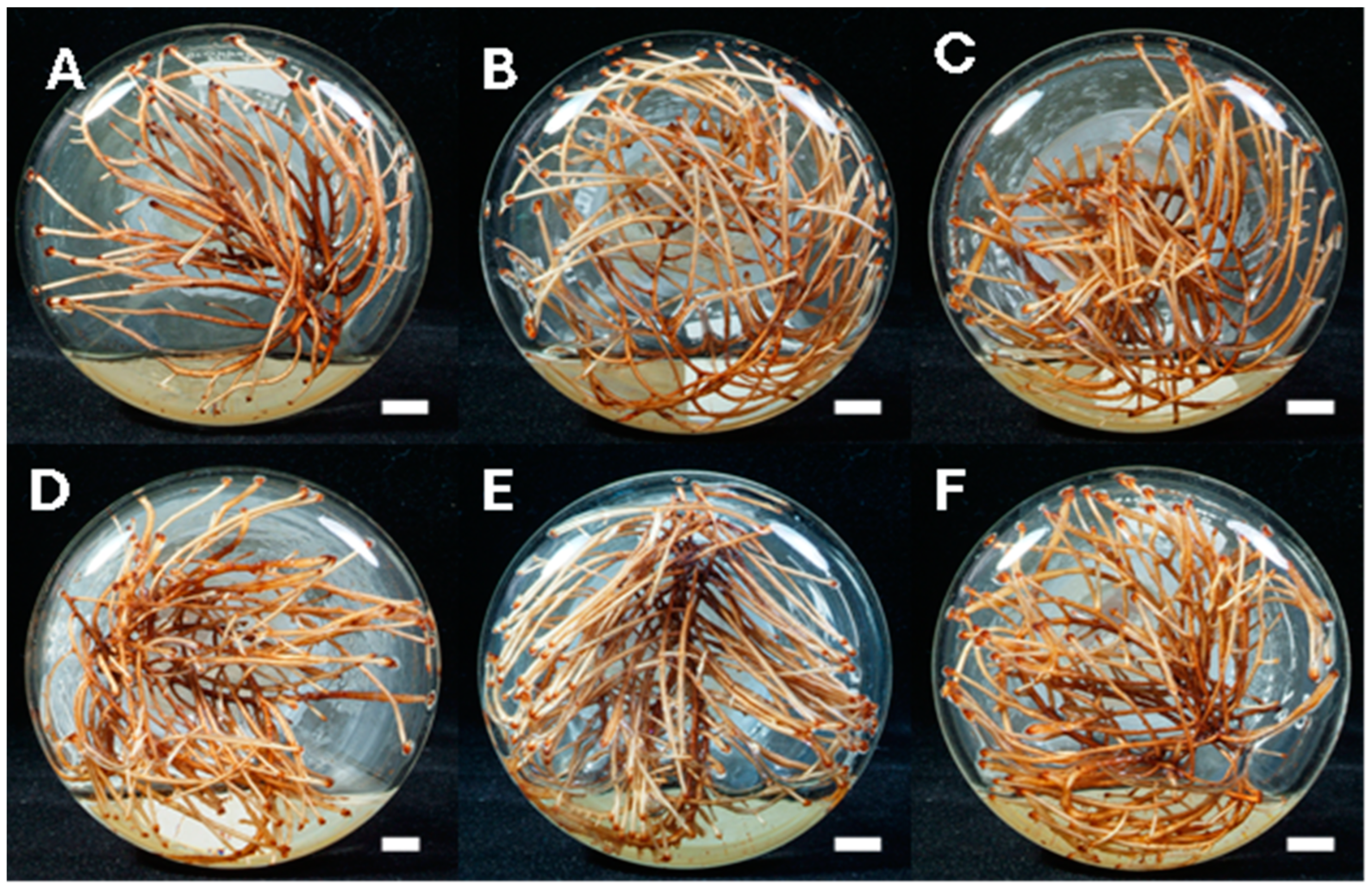 Molecules 30 01859 g002