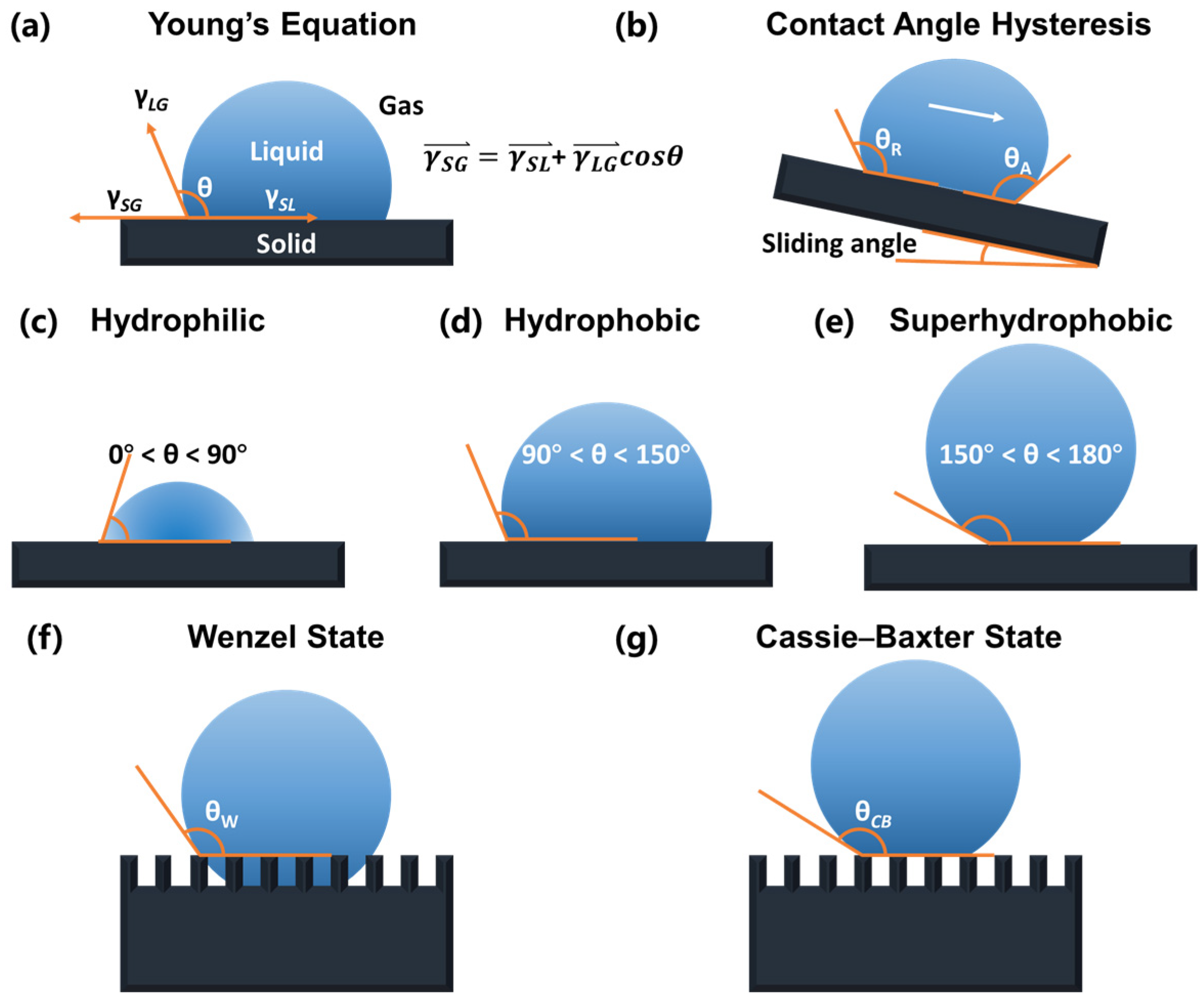 Molecules 30 01865 g003