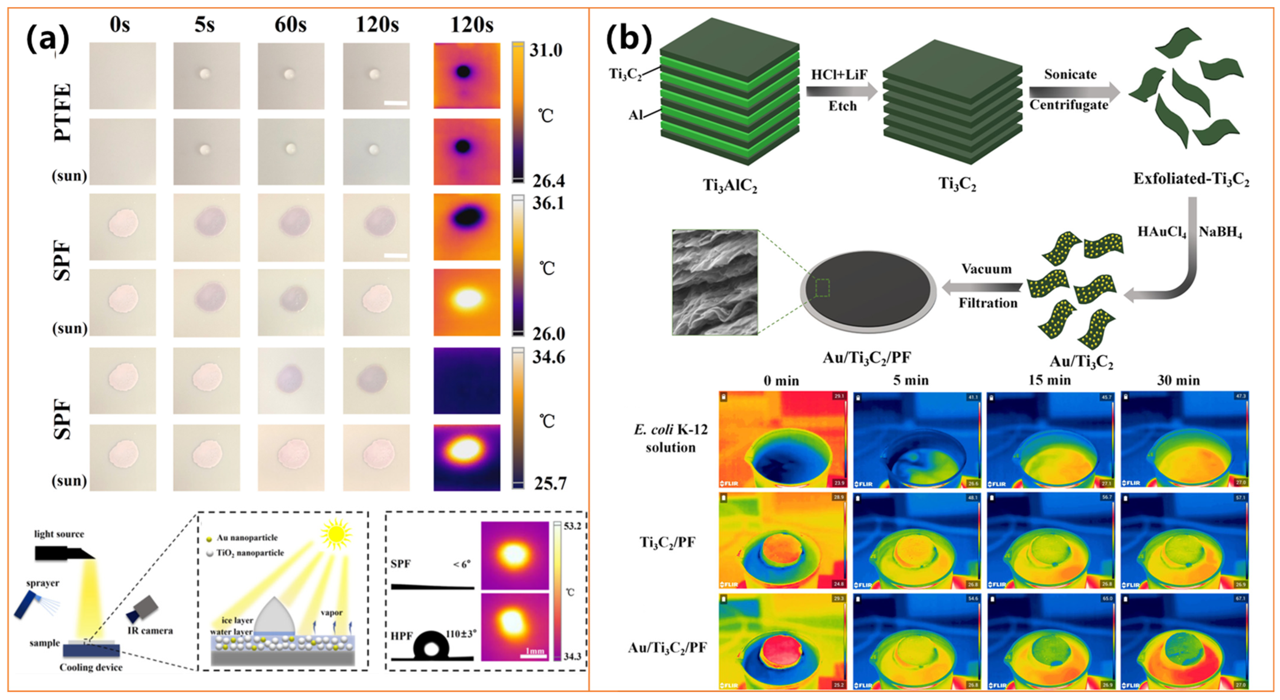 Molecules 30 01865 g008