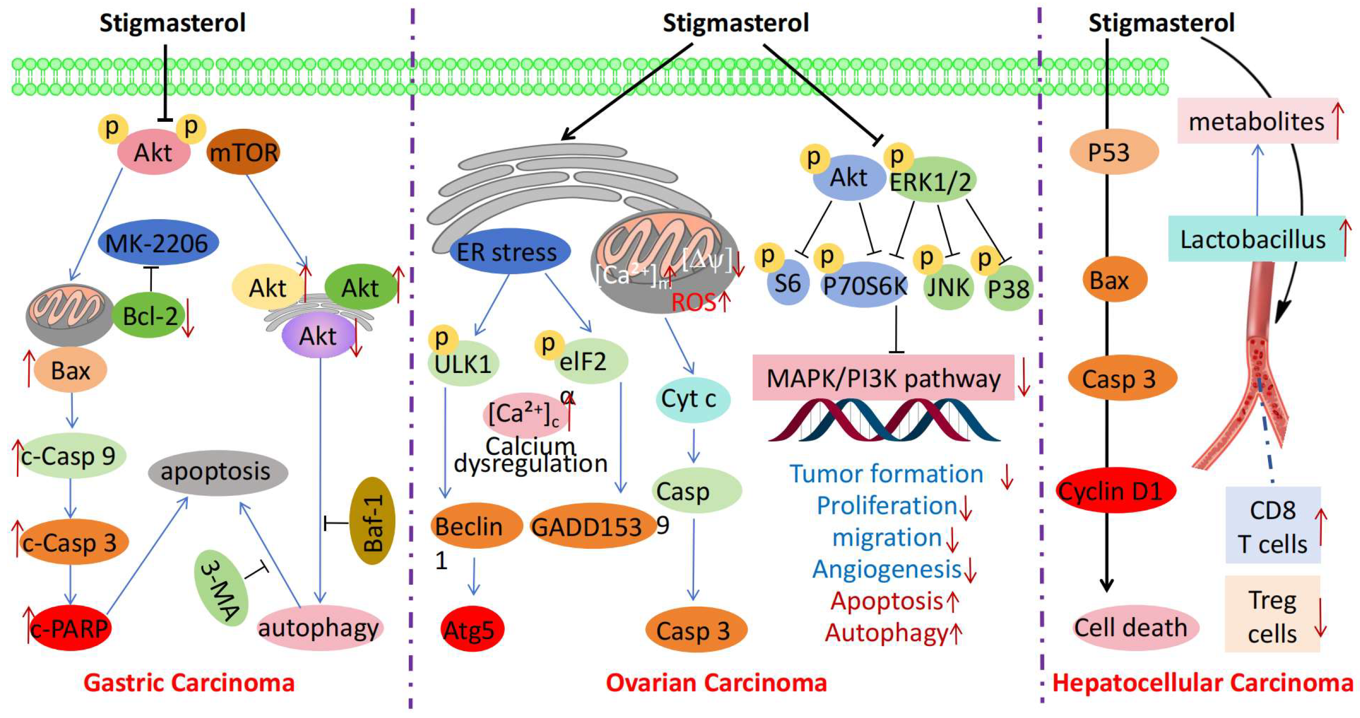 Molecules 30 01874 g002