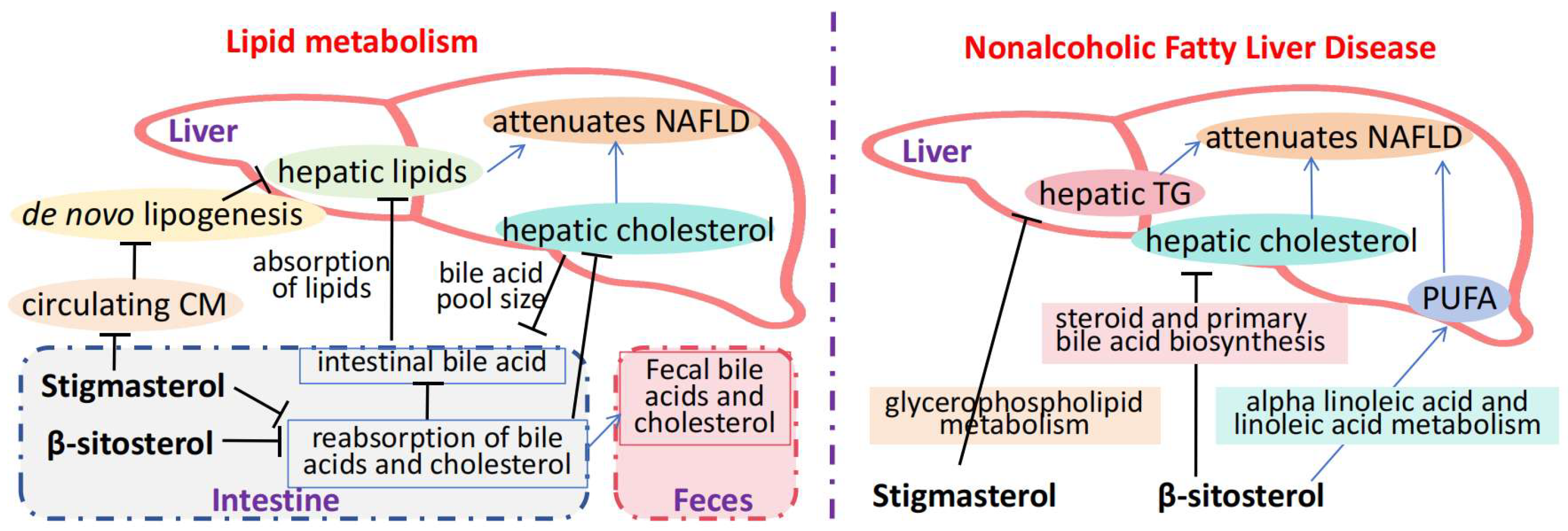 Molecules 30 01874 g003