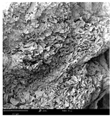 Molecules 30 01877 i002