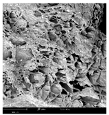 Molecules 30 01877 i017