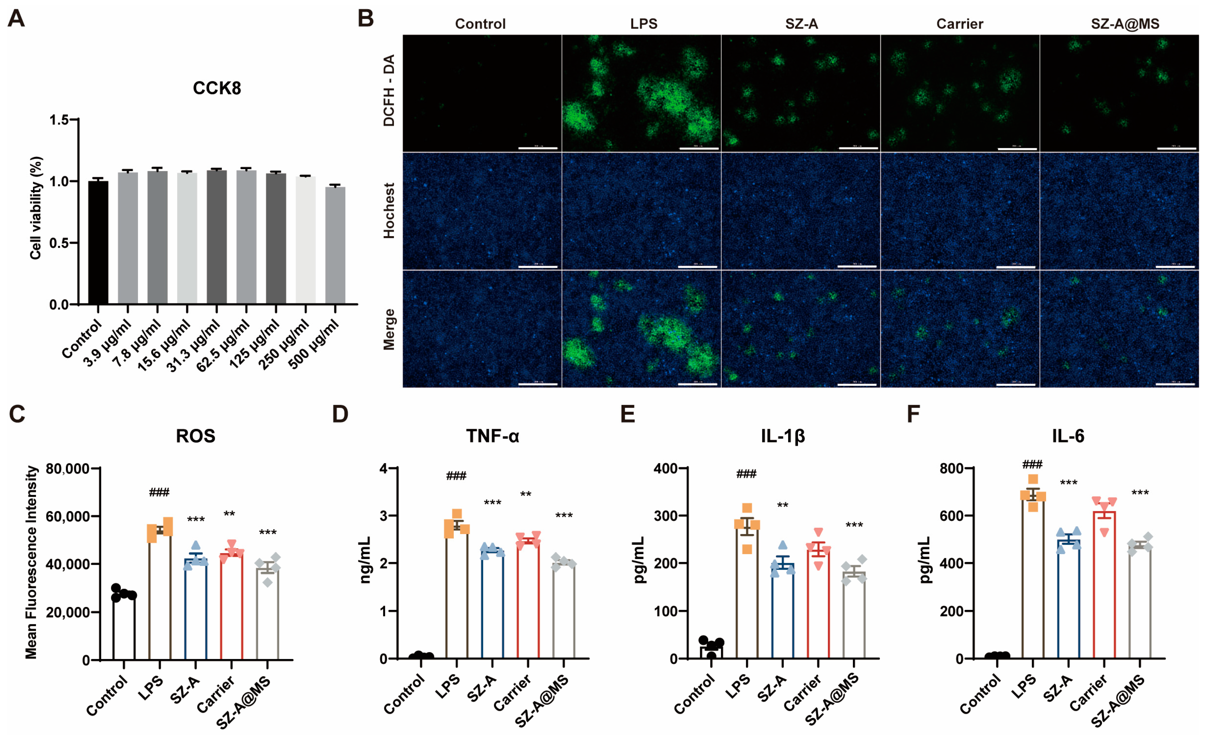 Molecules 30 01878 g005