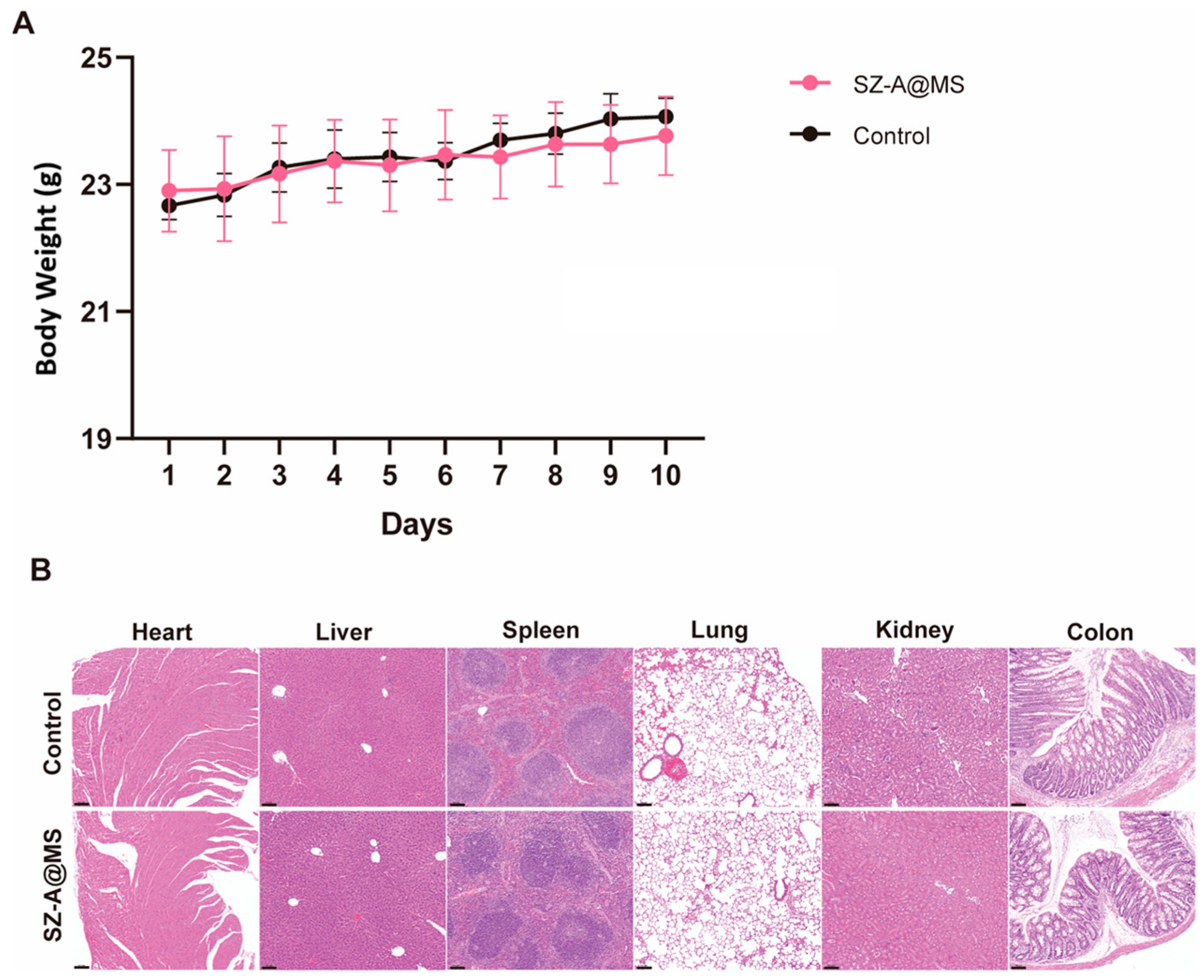 Molecules 30 01878 g006