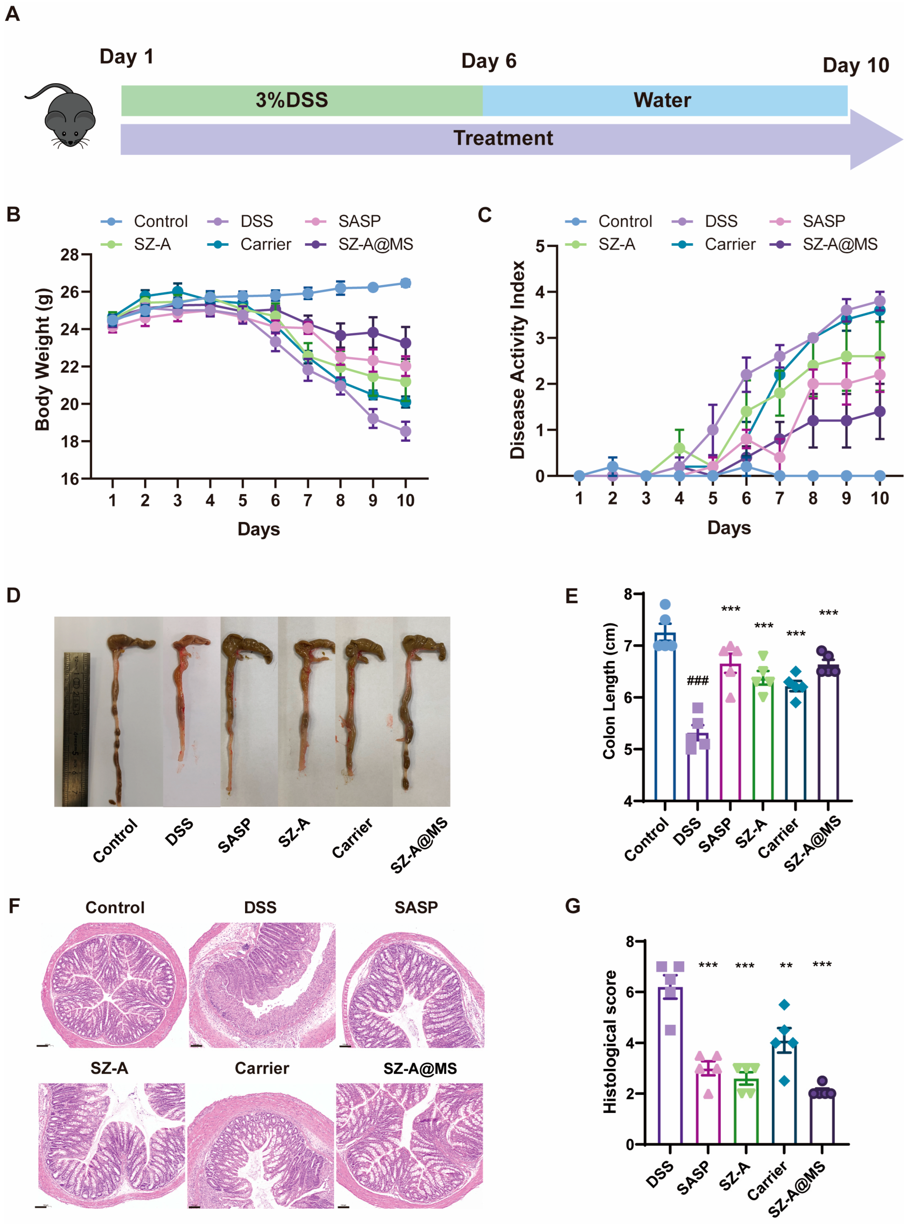 Molecules 30 01878 g007