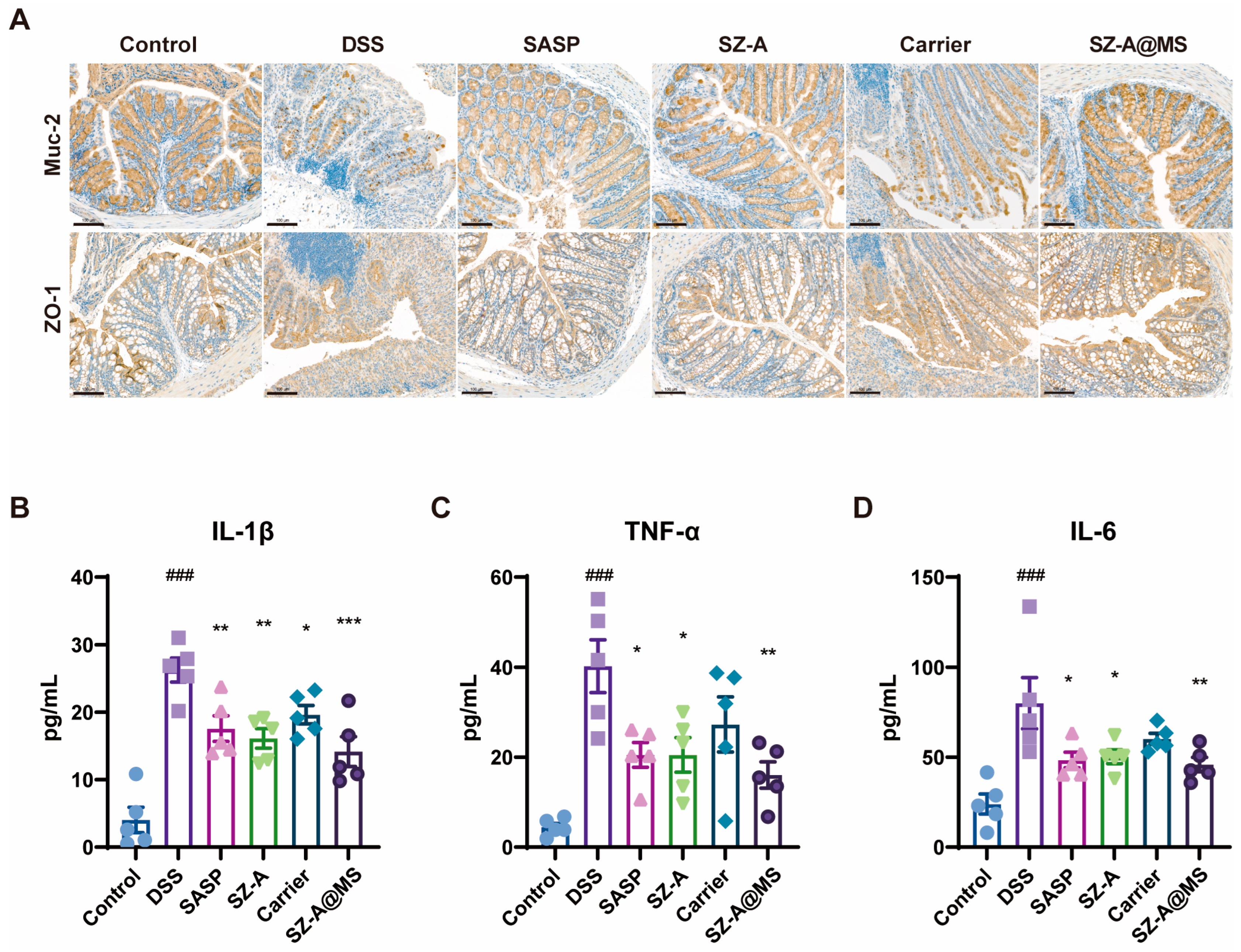 Molecules 30 01878 g008
