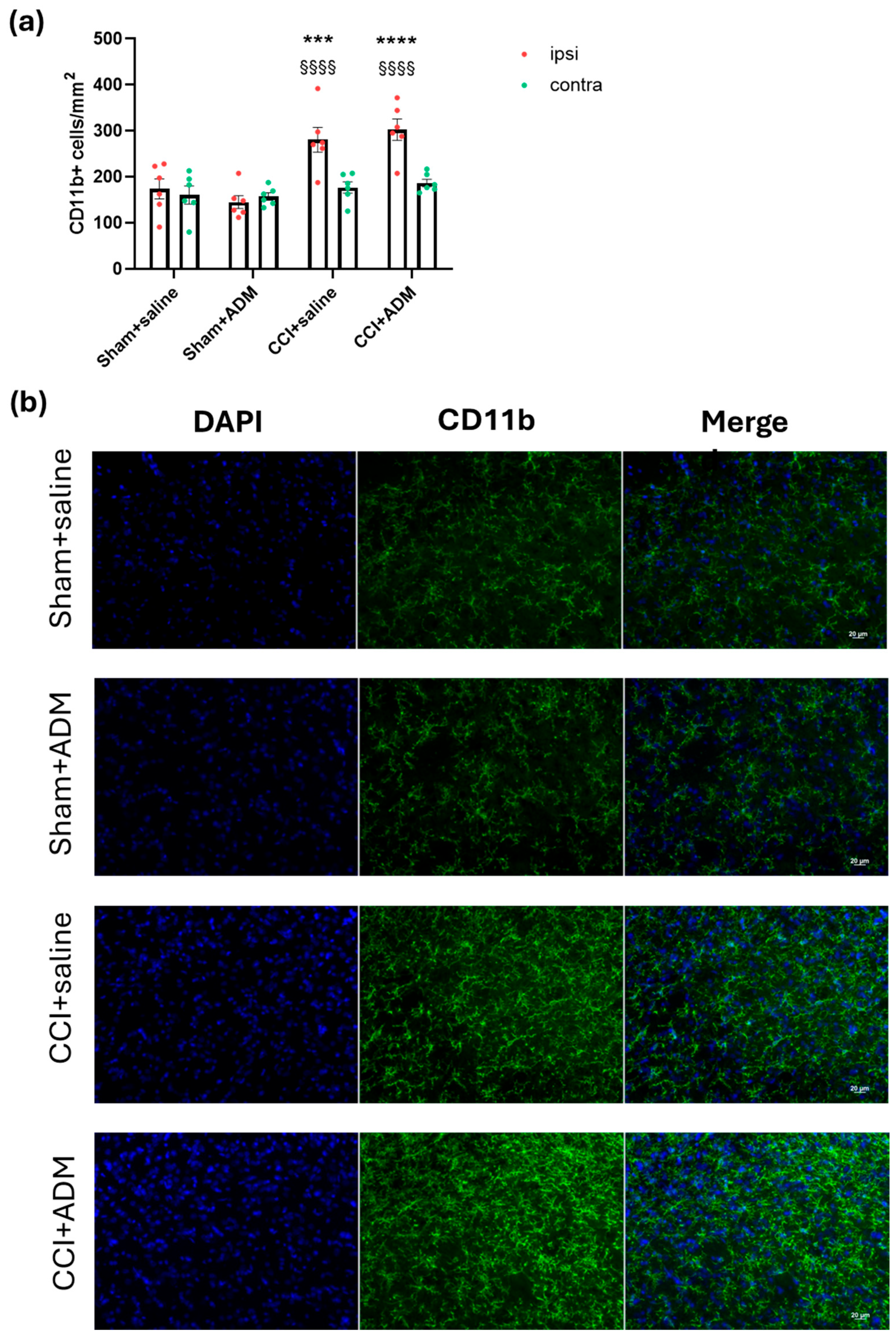 Molecules 30 01884 g003