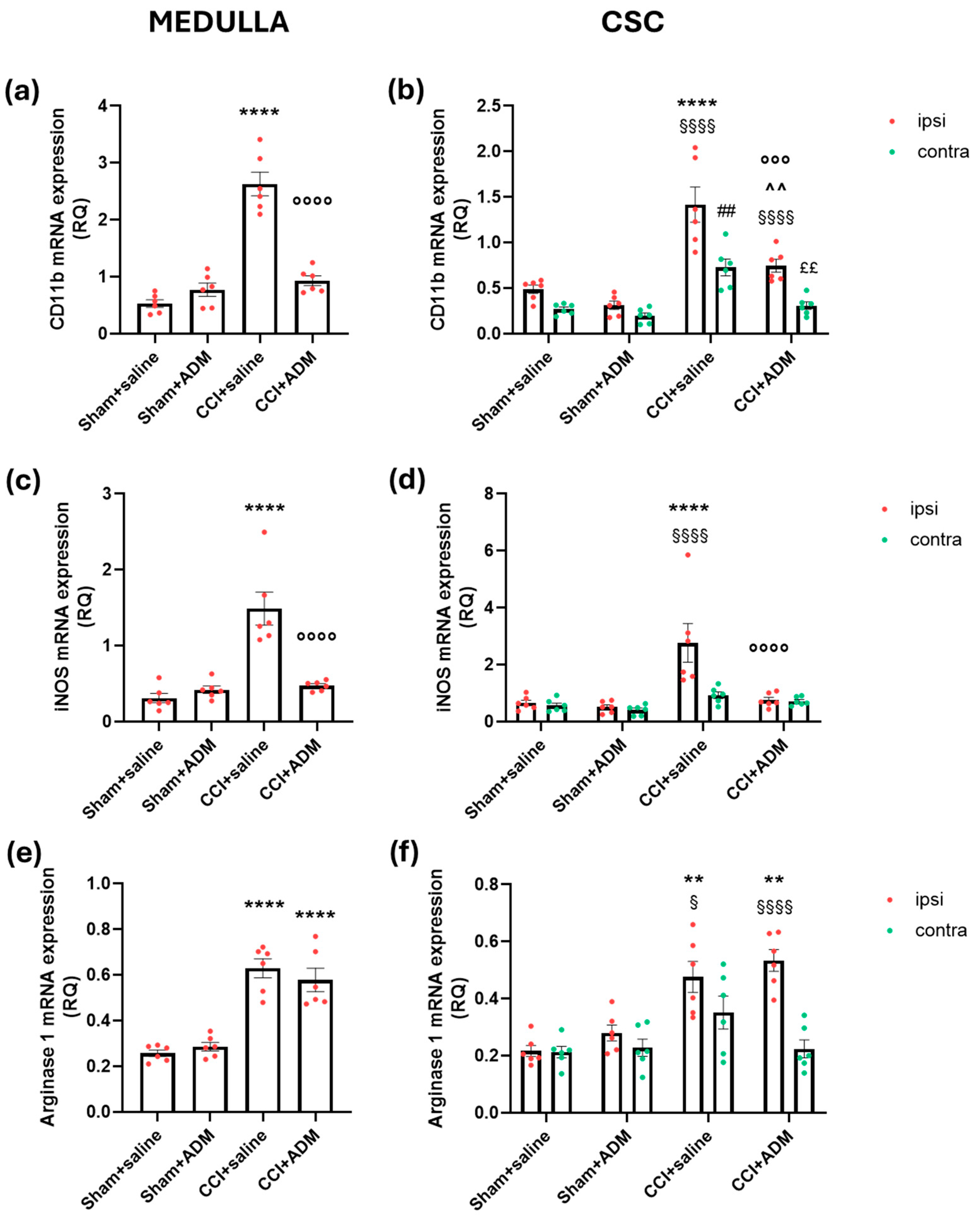 Molecules 30 01884 g004
