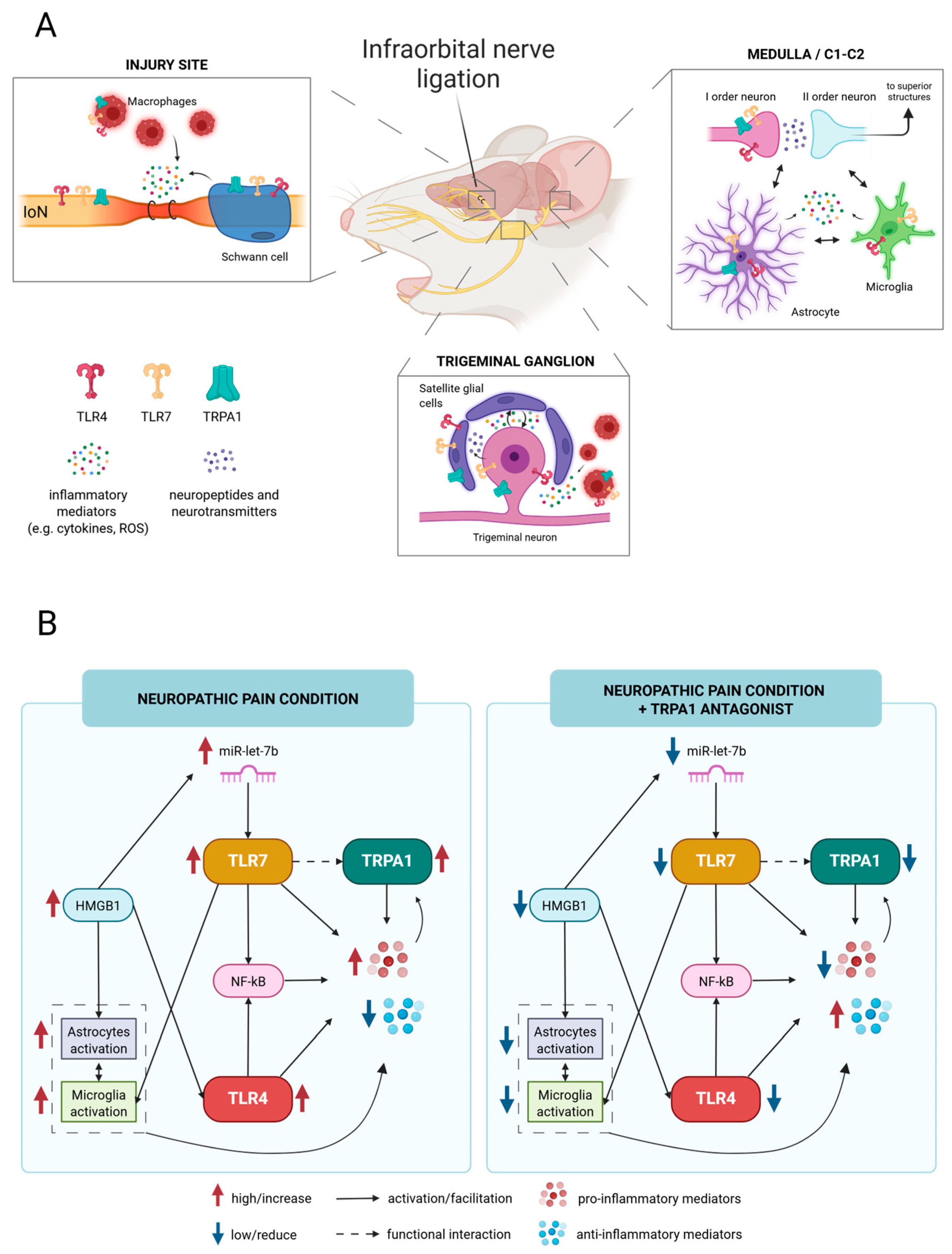 Molecules 30 01884 g009