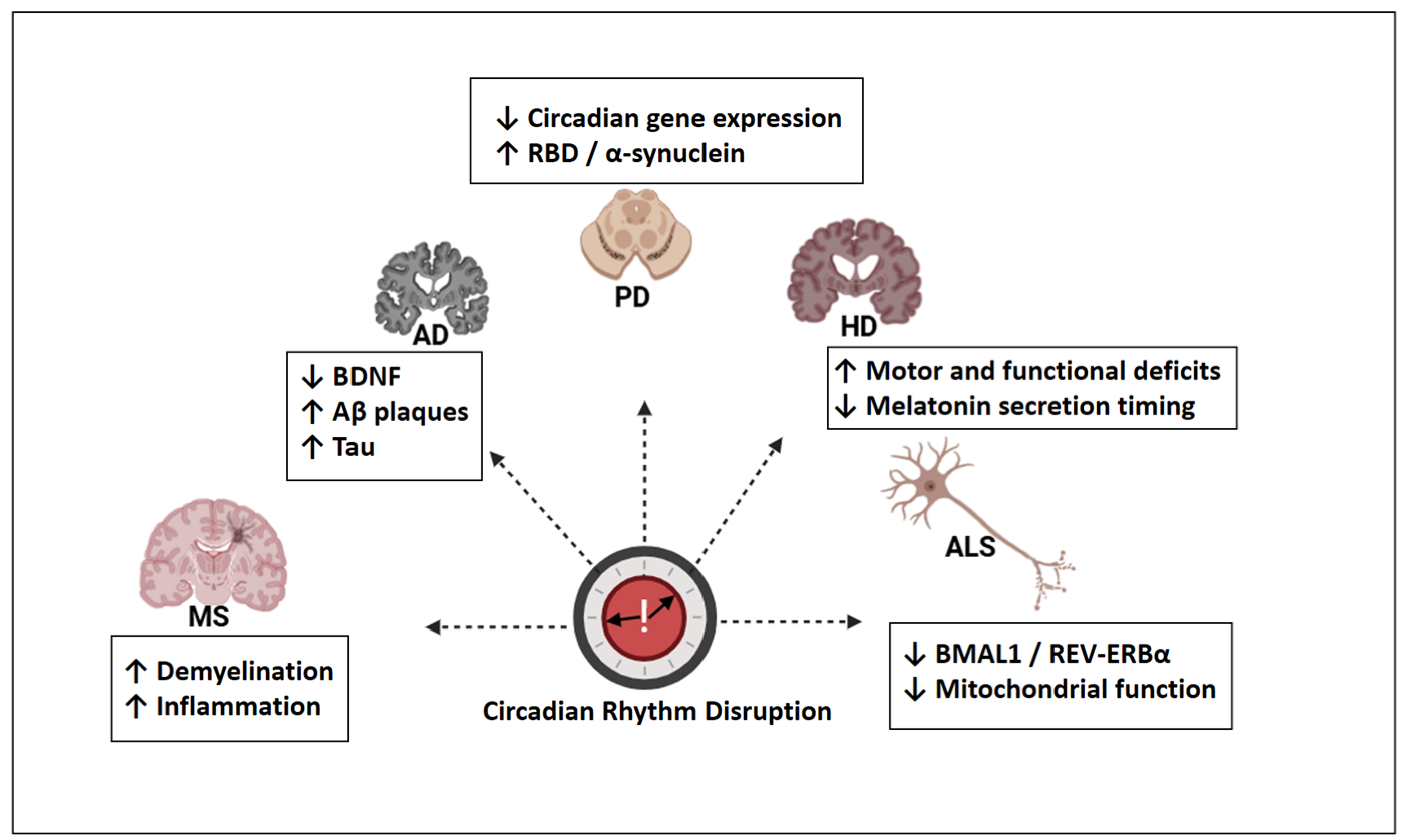 Molecules 30 01888 g004