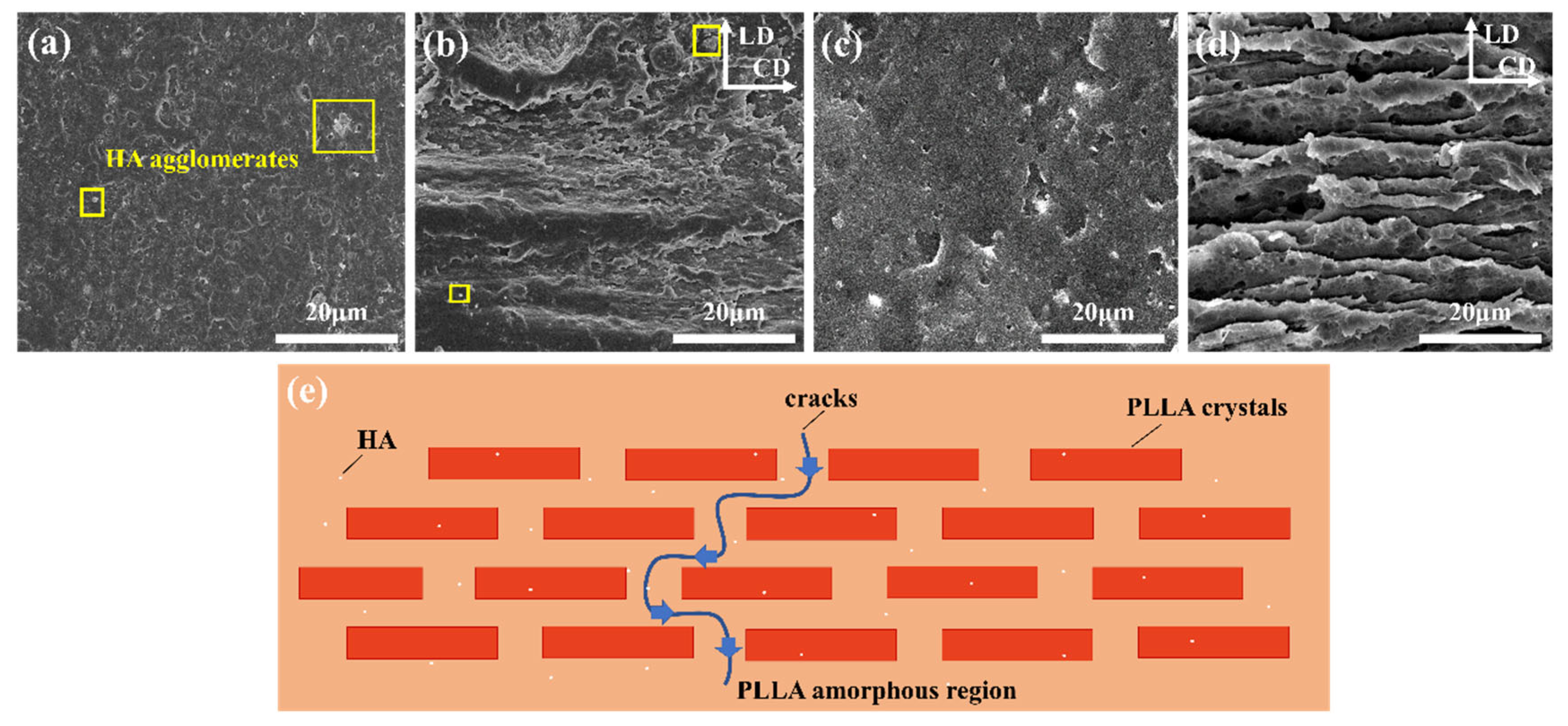 Molecules 30 01889 g003