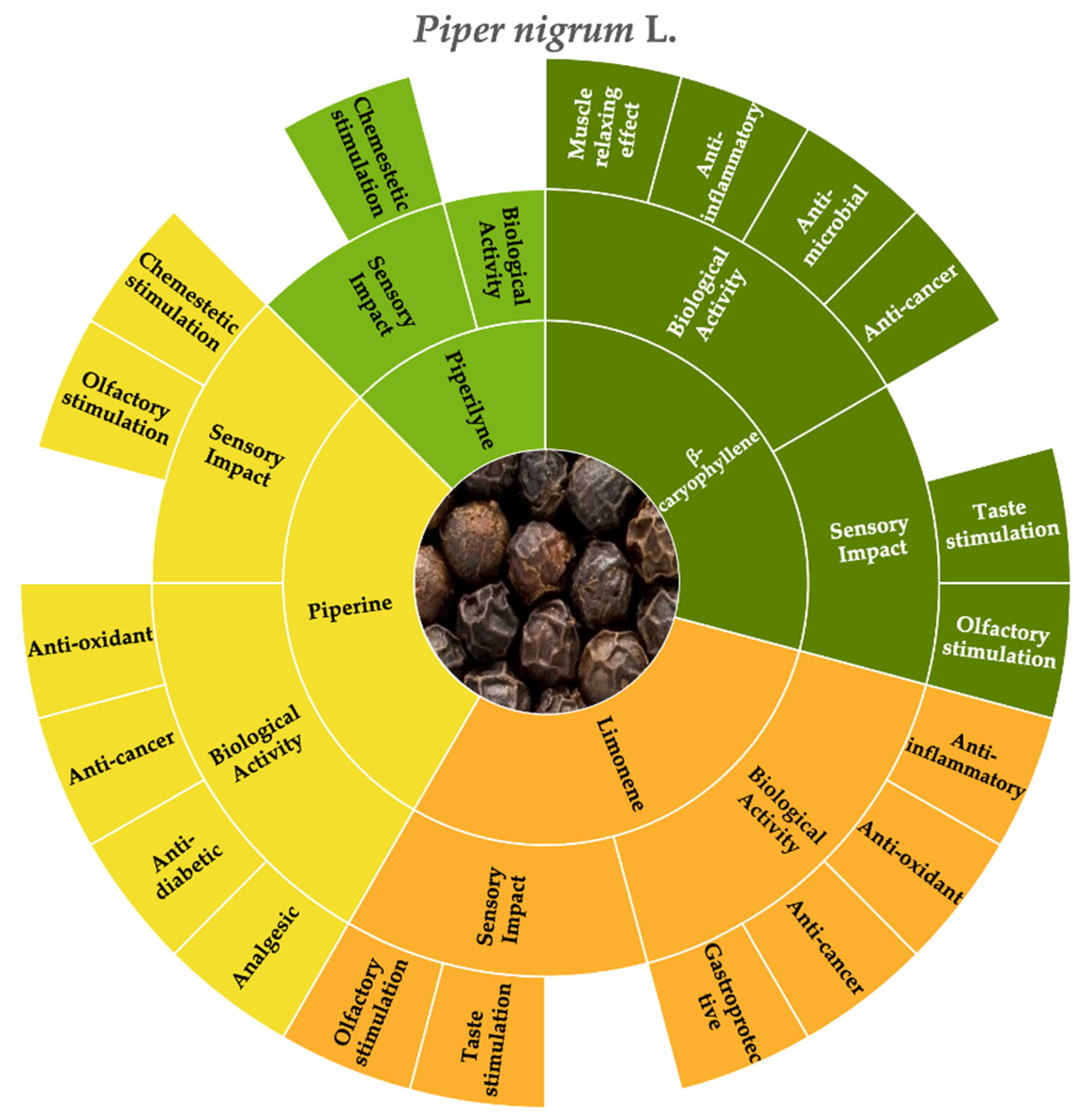 Molecules 30 01891 g001