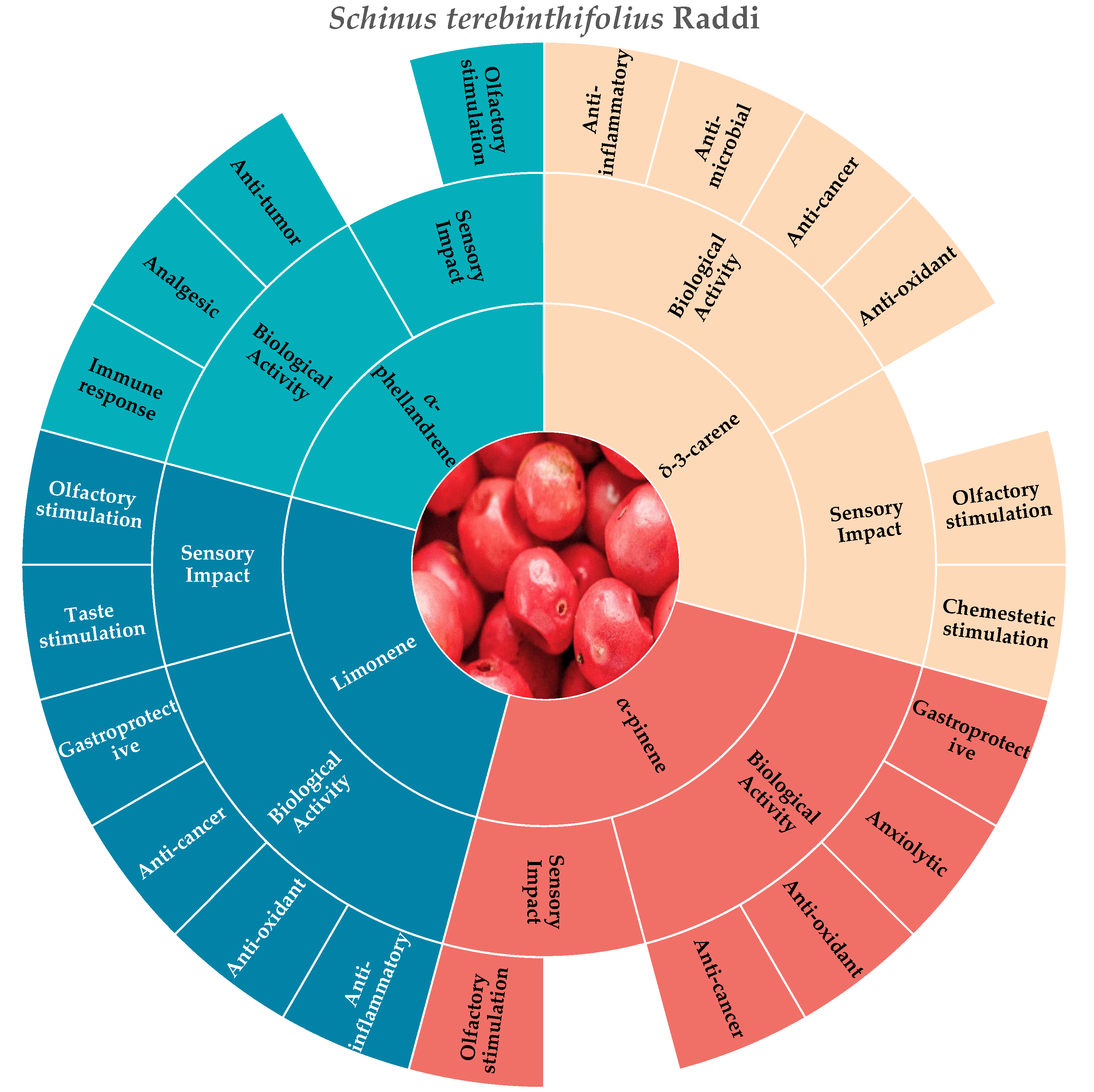 Molecules 30 01891 g004