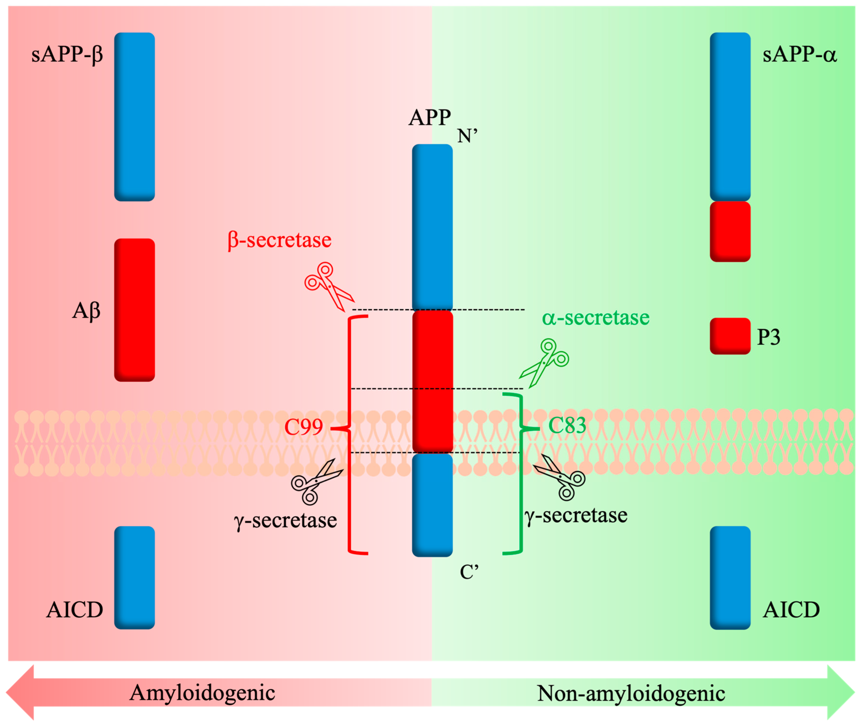 Molecules 30 01895 g004