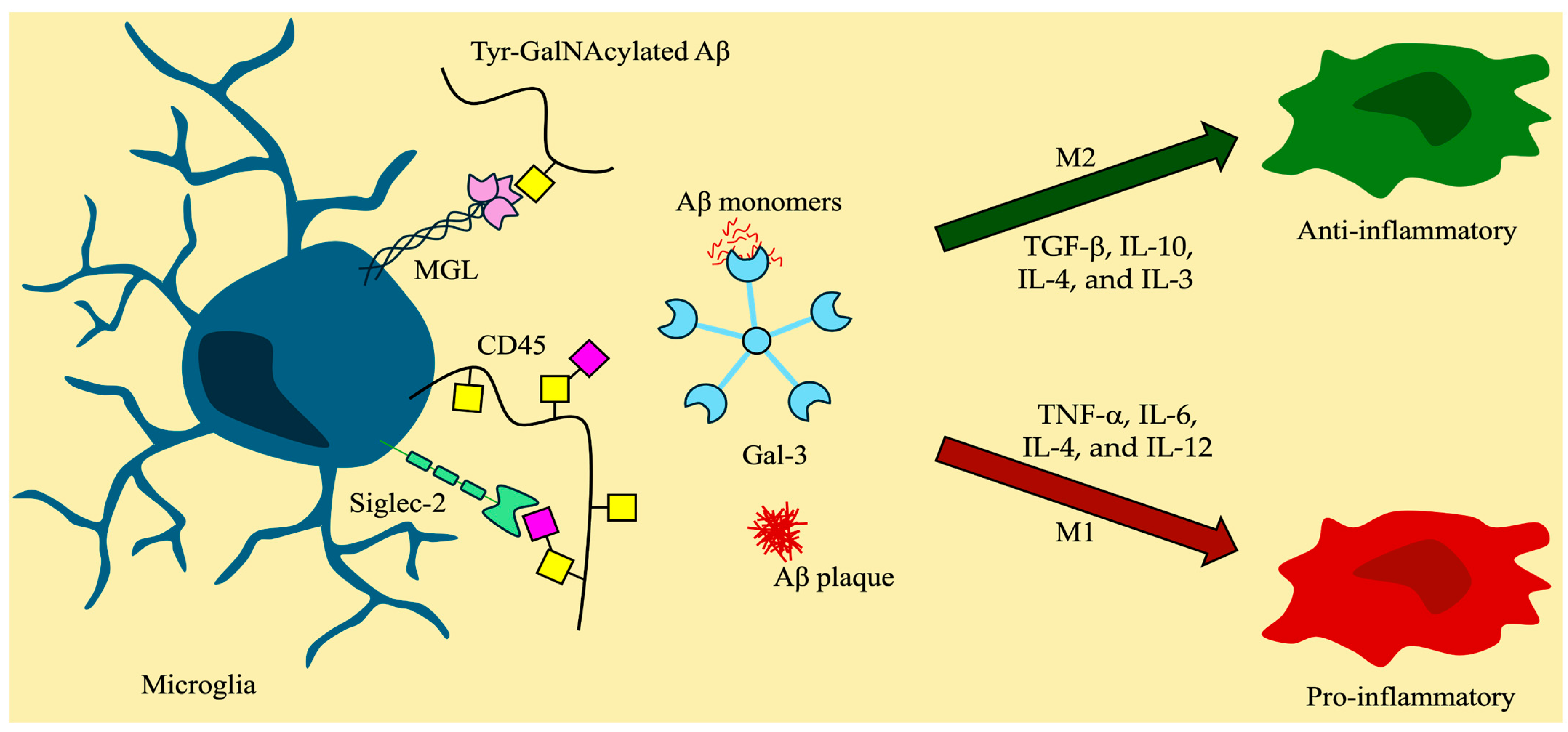 Molecules 30 01895 g005