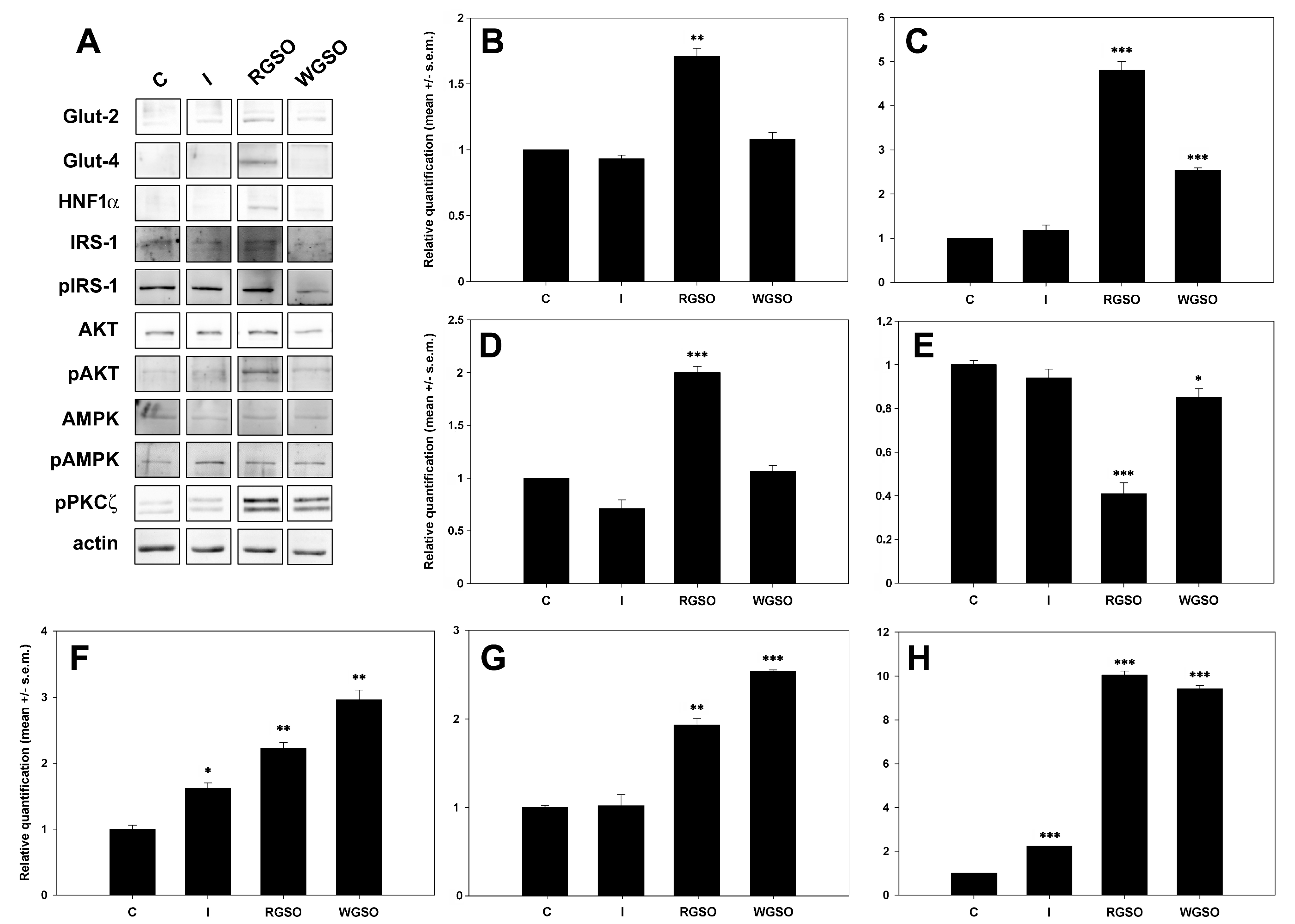 Molecules 30 01933 g005