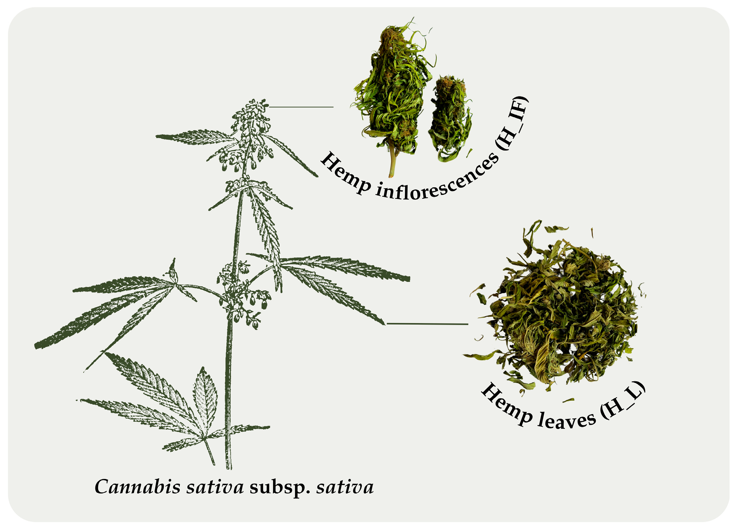 Molecules 30 01947 g002