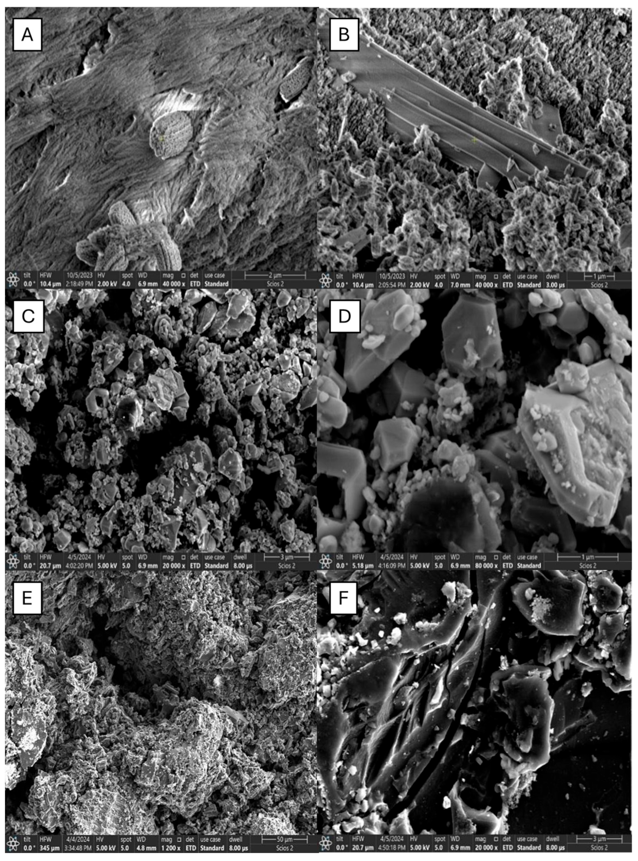 Molecules 30 01962 g001