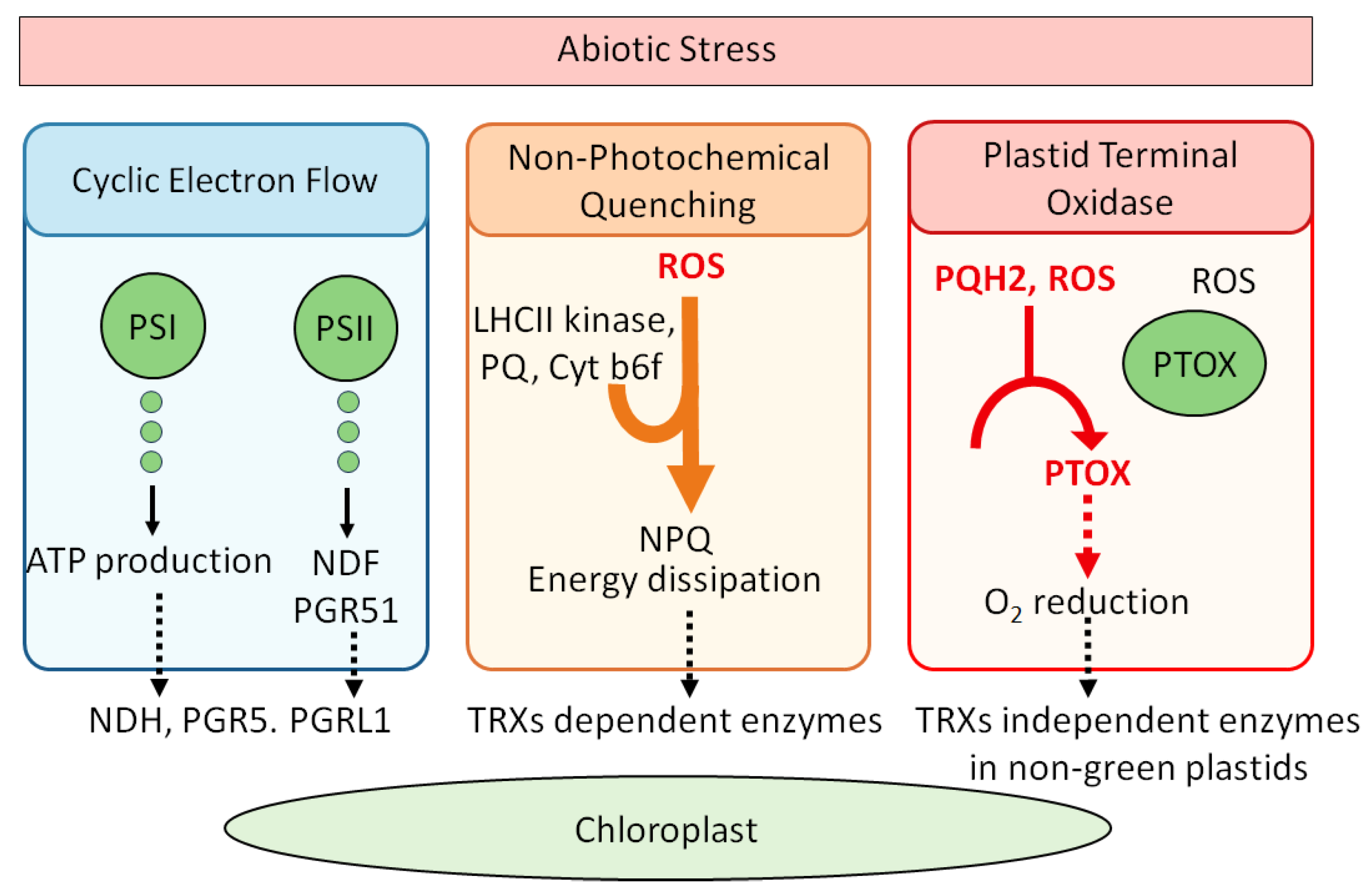 Molecules 30 02148 g001