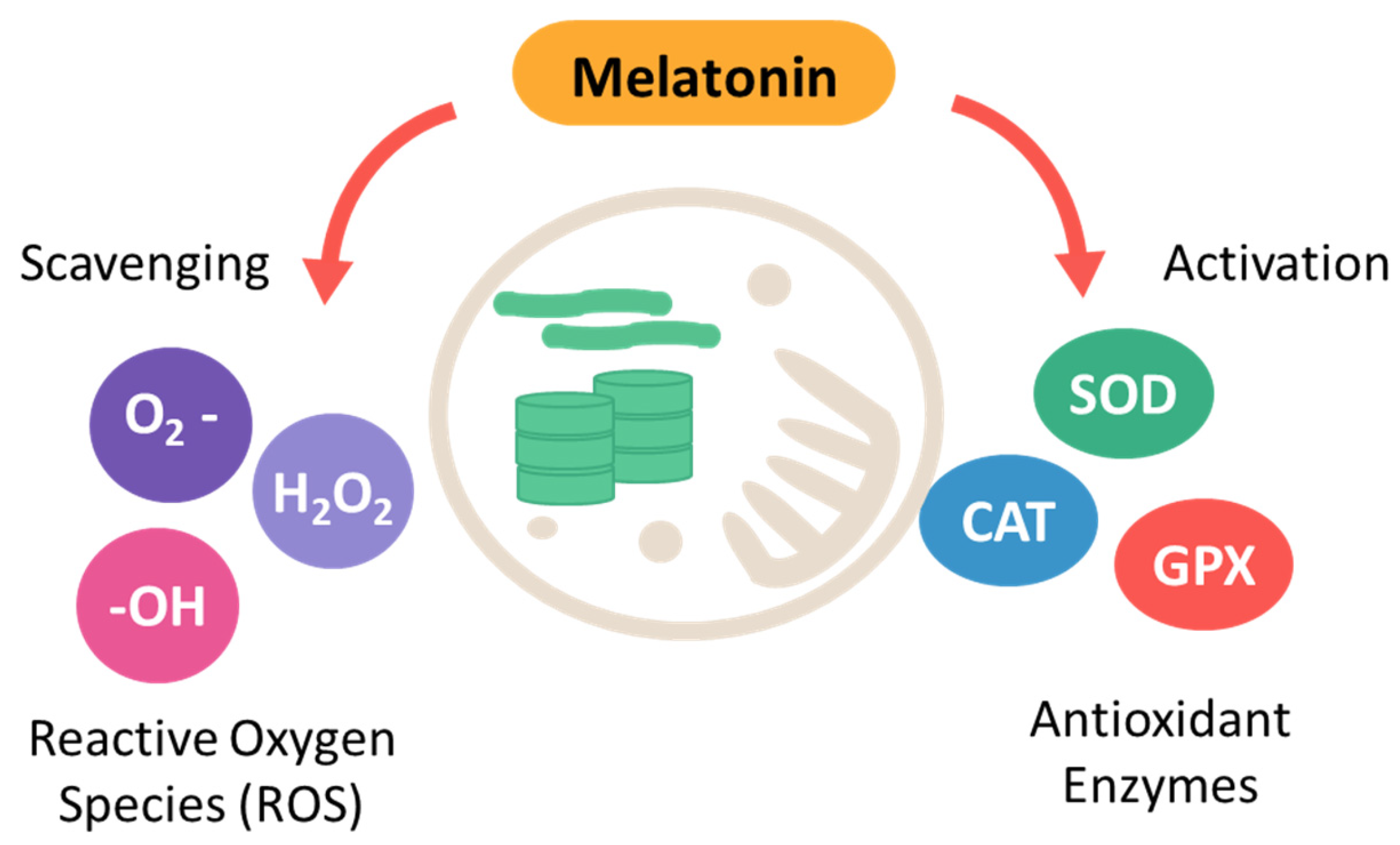 Molecules 30 02148 g002