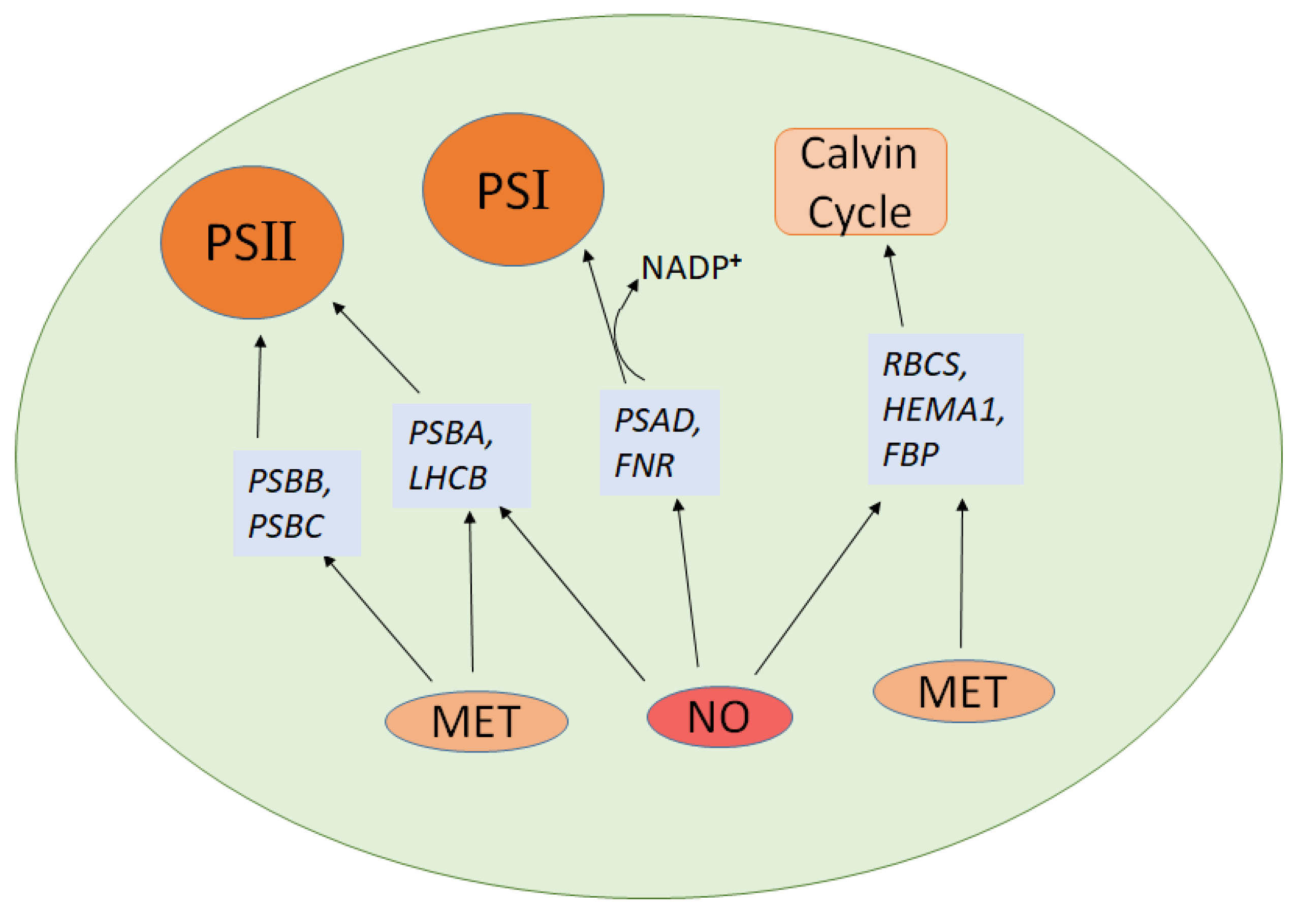 Molecules 30 02148 g003