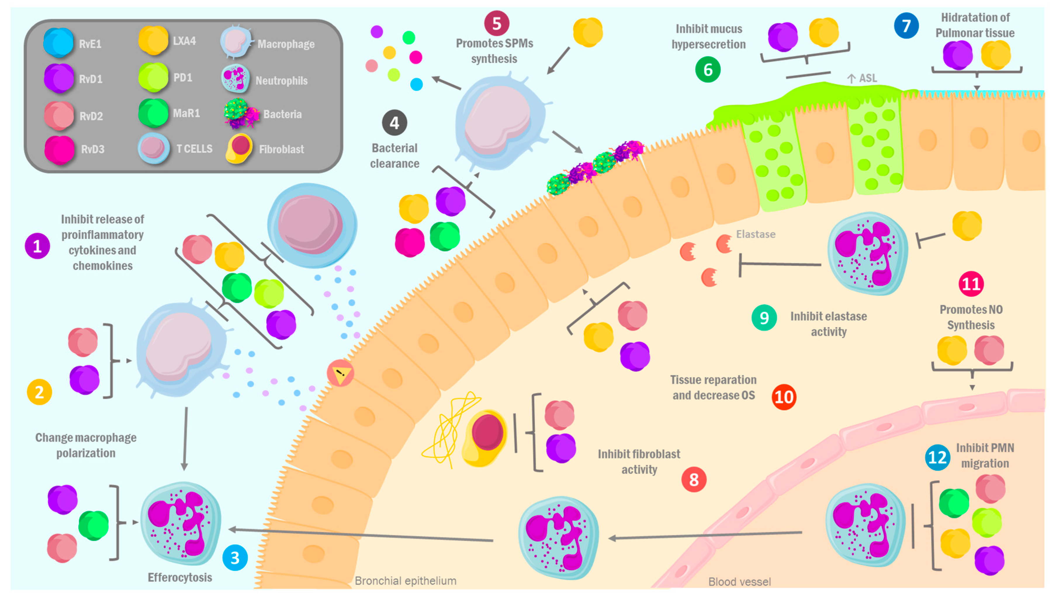 Molecules 30 02212 g002