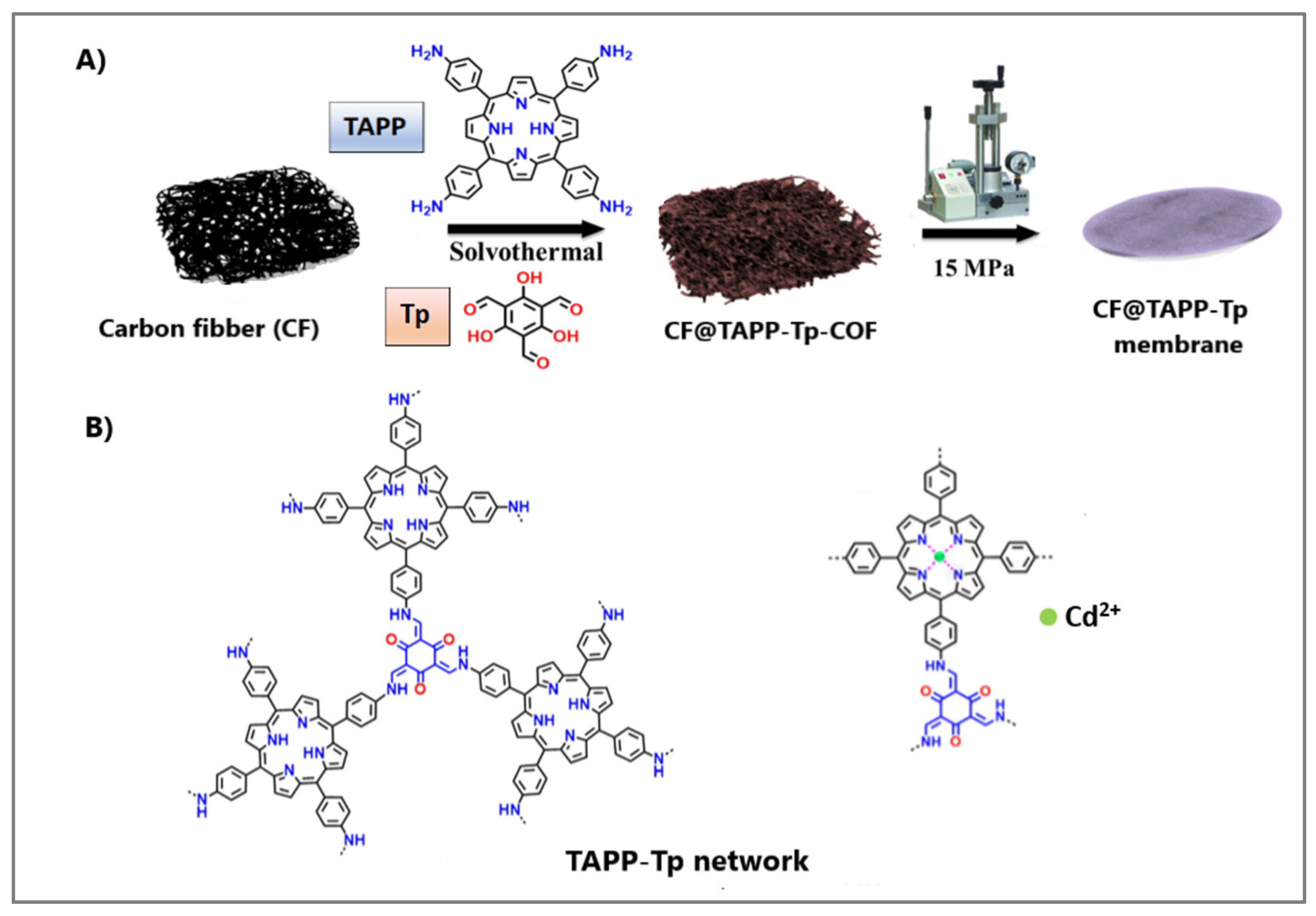 Molecules 30 02238 g004
