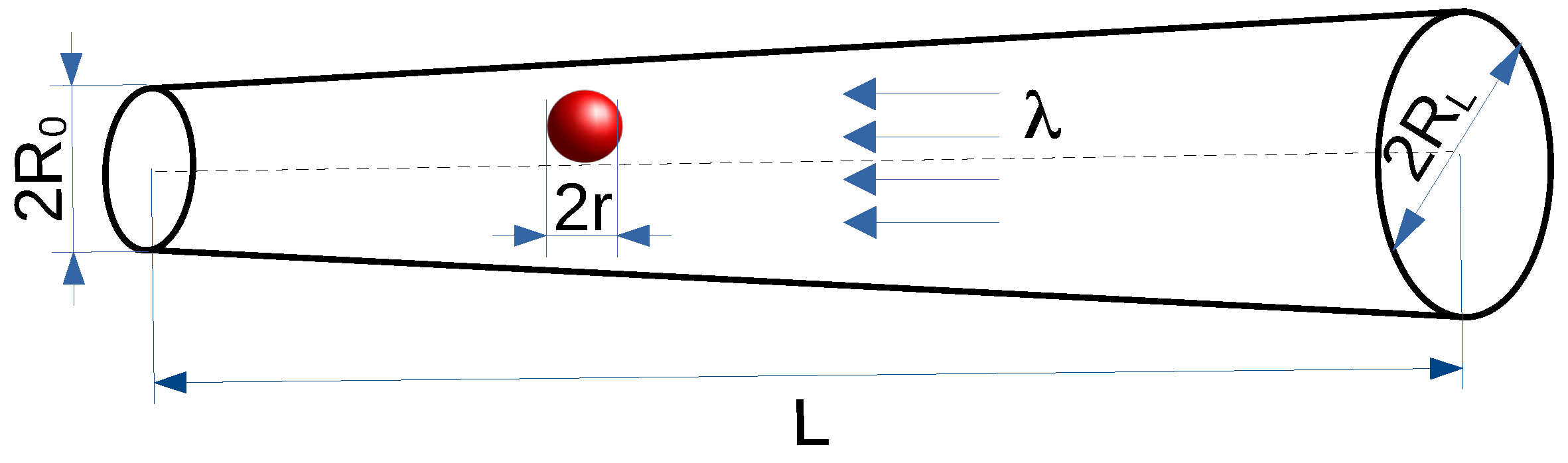 Molecules 30 02316 g001 Molecules 30 02316 g001