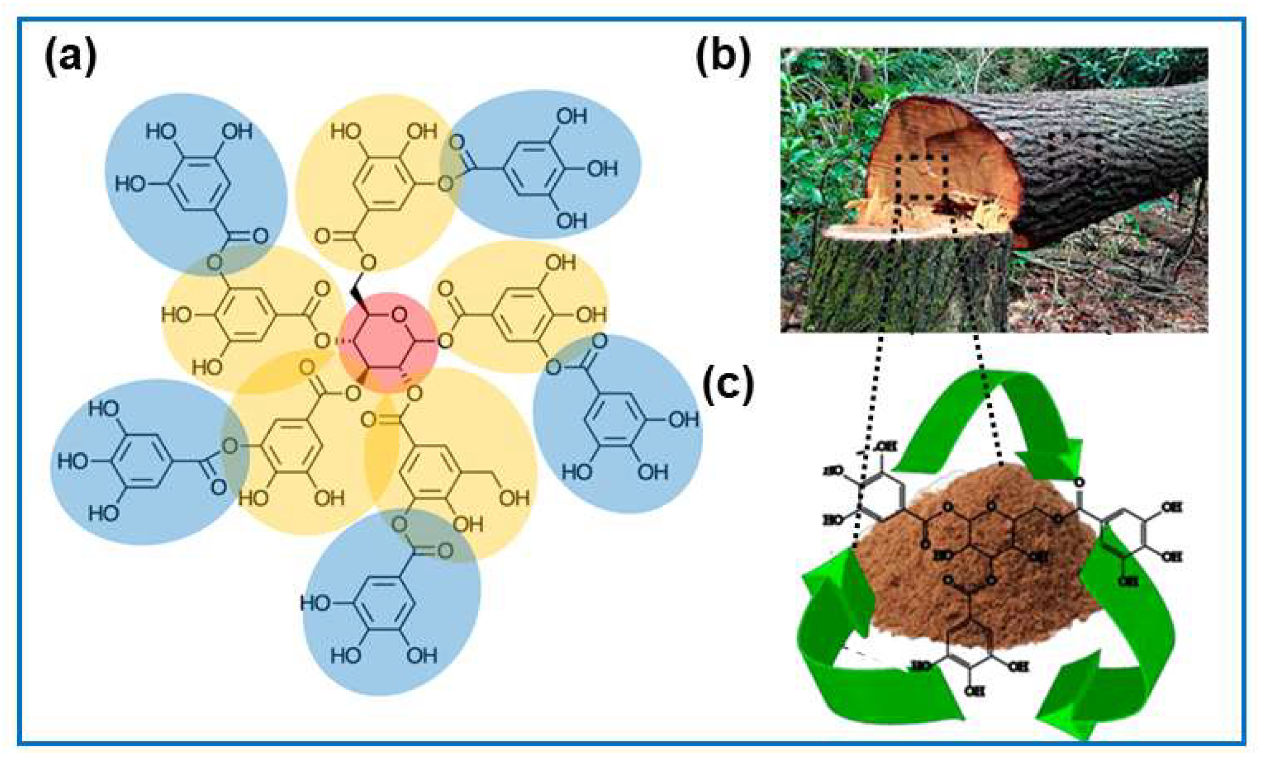 Molecules 30 03125 g003