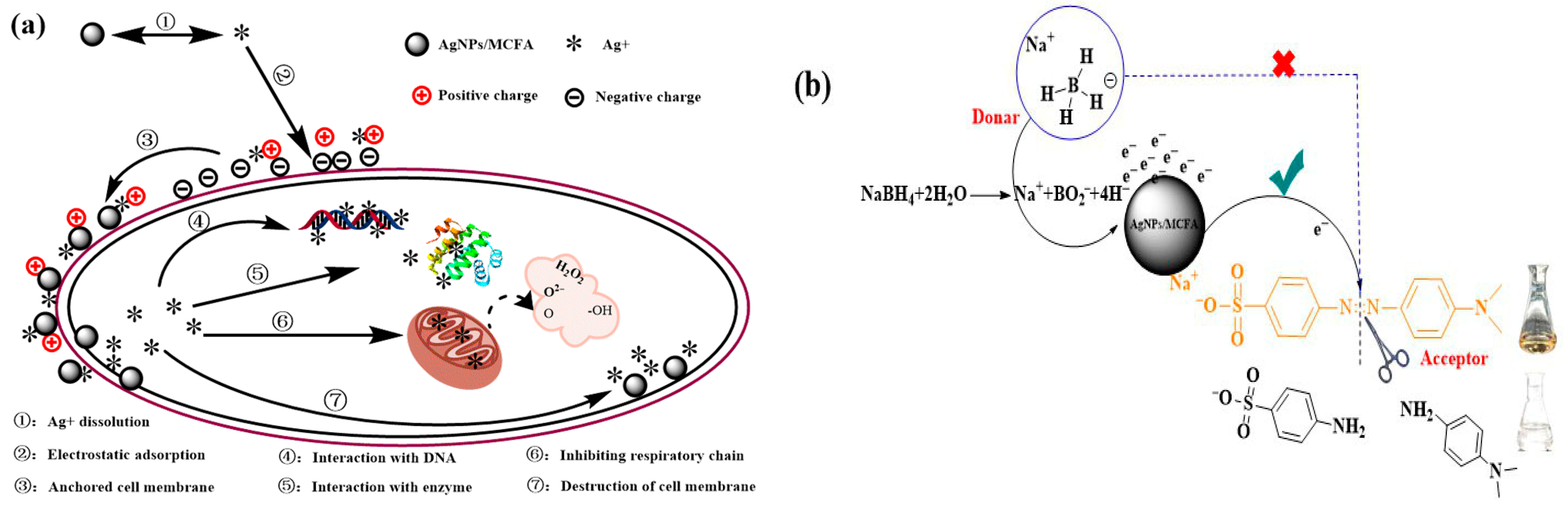 Molecules 30 03155 g006 Molecules 30 03155 g006