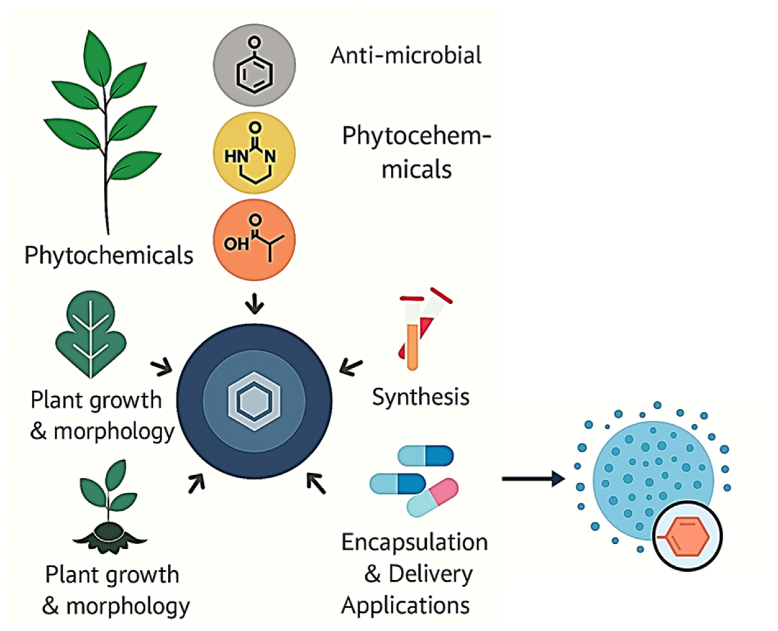 Molecules 30 03177 g001